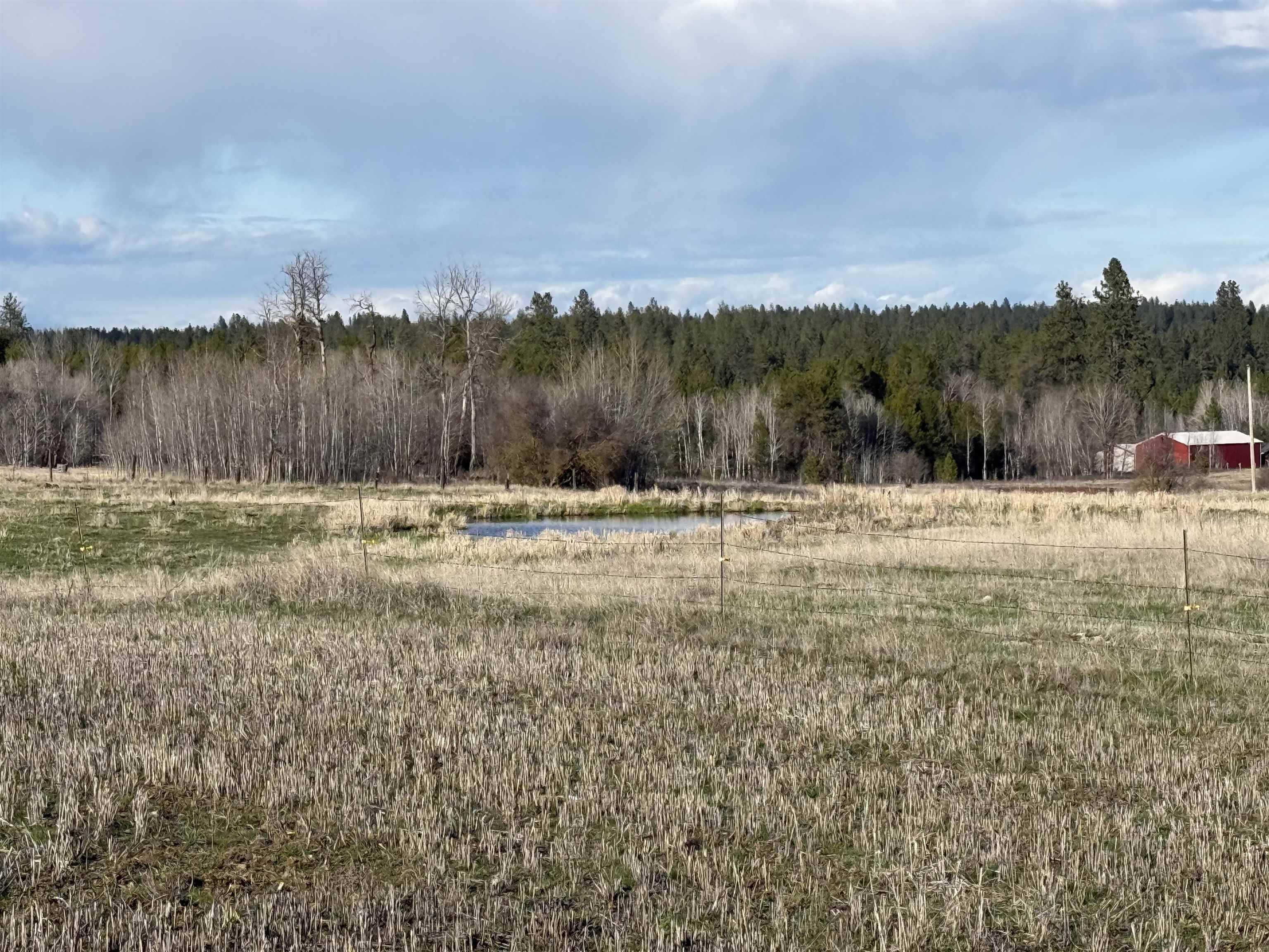 28XXX N Dalton Rd, Deer Park, WA 99006