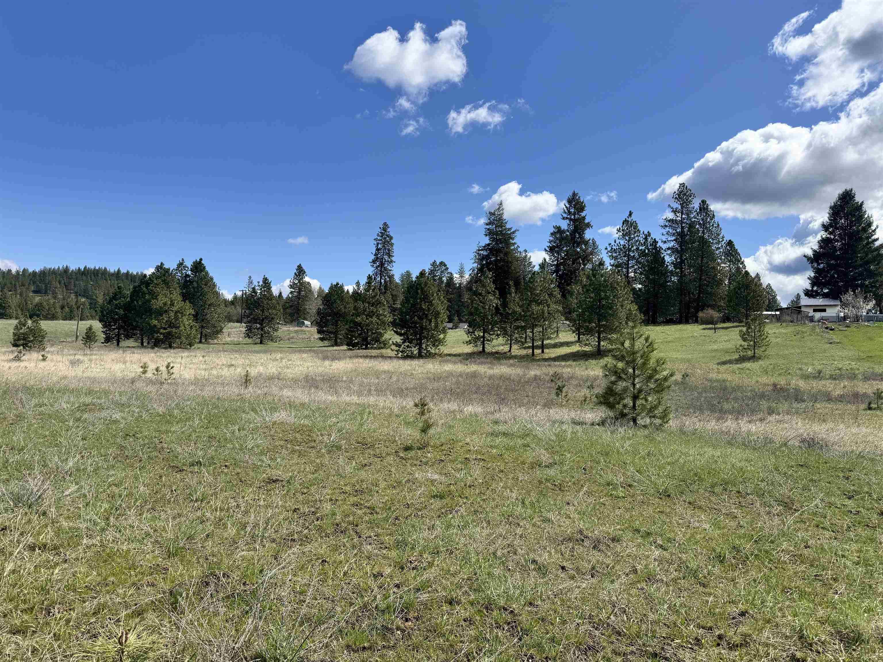 XX W Webb Ave, Springdale, WA 99173