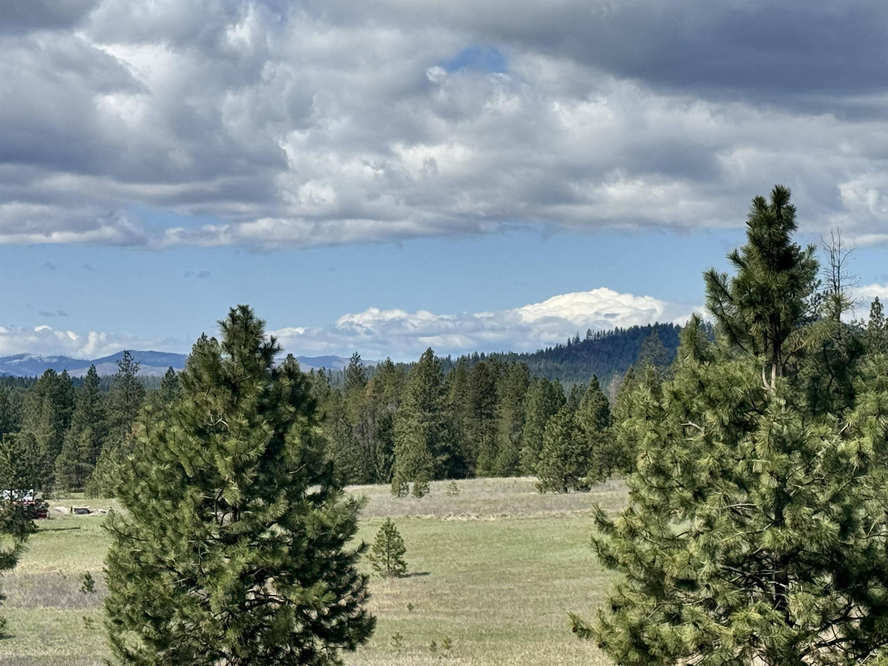 XX W Webb Ave, Springdale, WA 99173