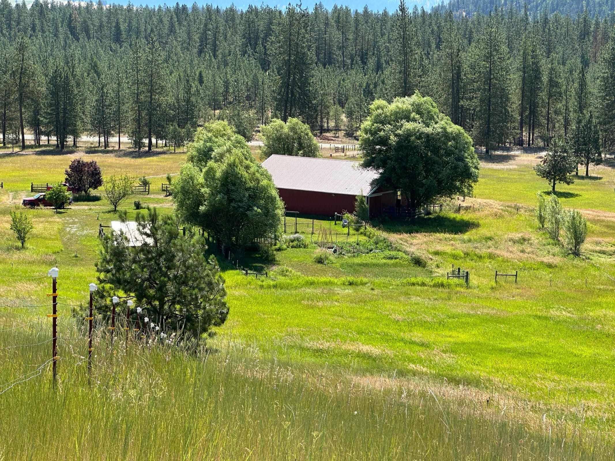 1239 Kewa Meteor Rd, Inchelium, WA 99138