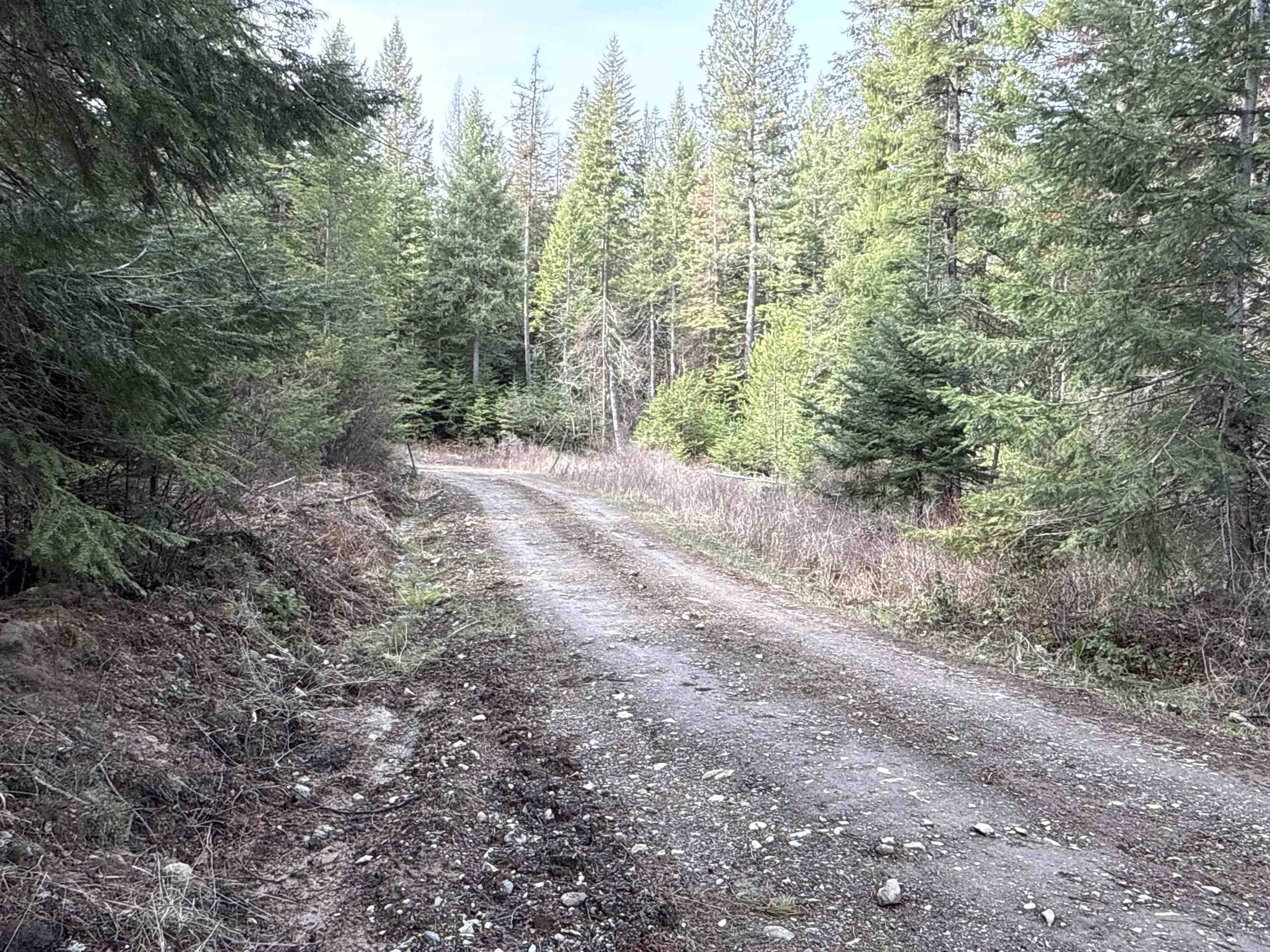 NKA Eagle Ridge WAY, Springdale, WA 99173
