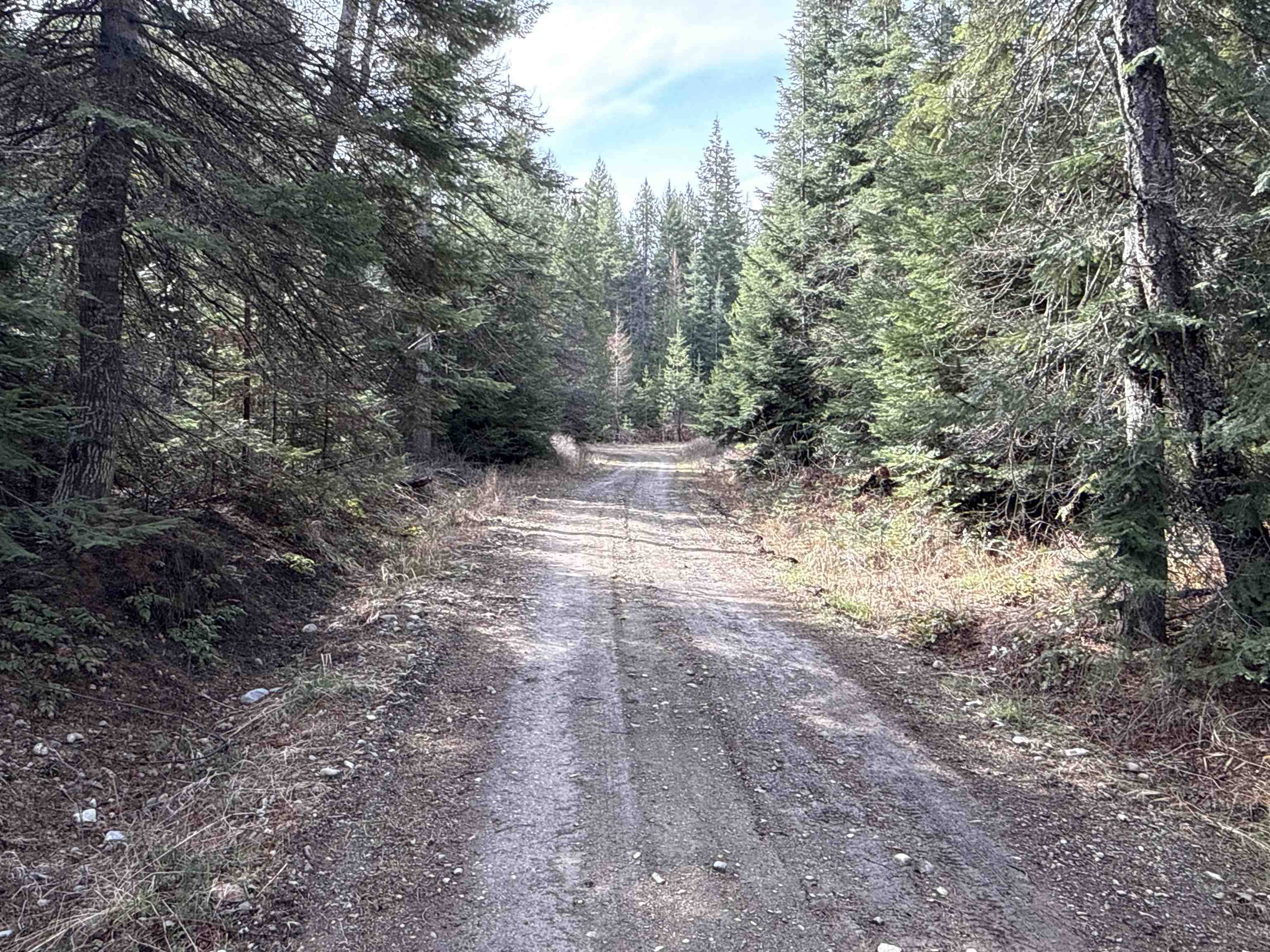 NKA Eagle Ridge WAY, Springdale, WA 99173