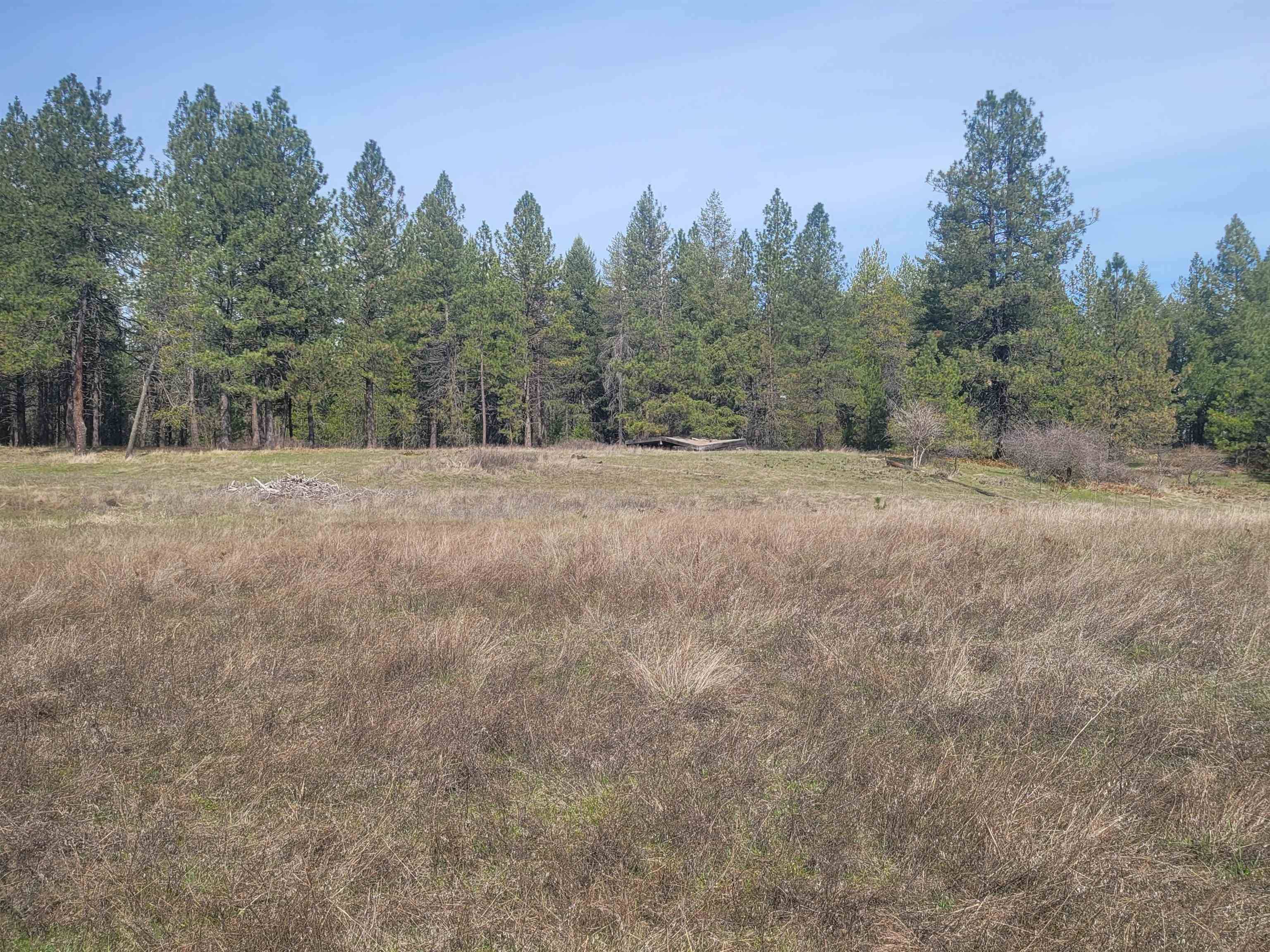 4528 Stonebrook WAY, Springdale, WA 99173