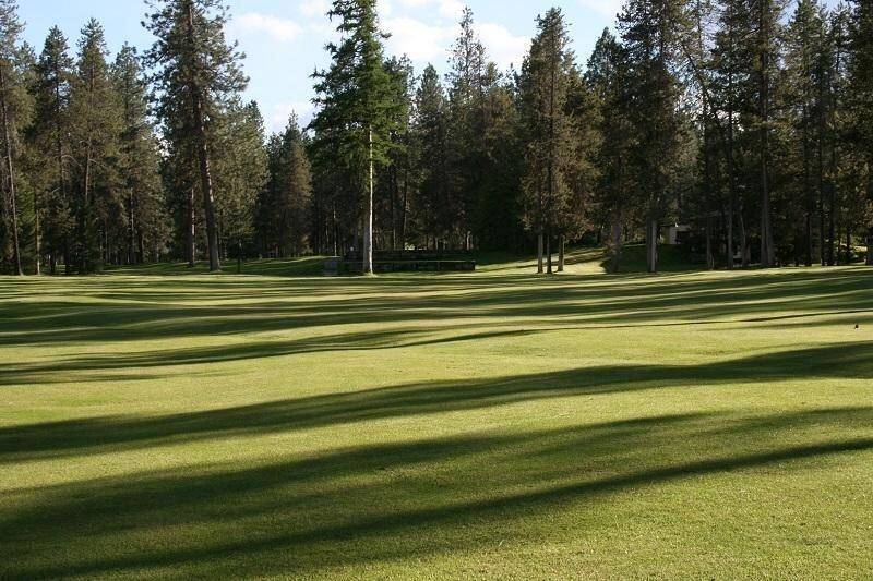 205 Eagle Dr, Chewelah, WA 99109-9602