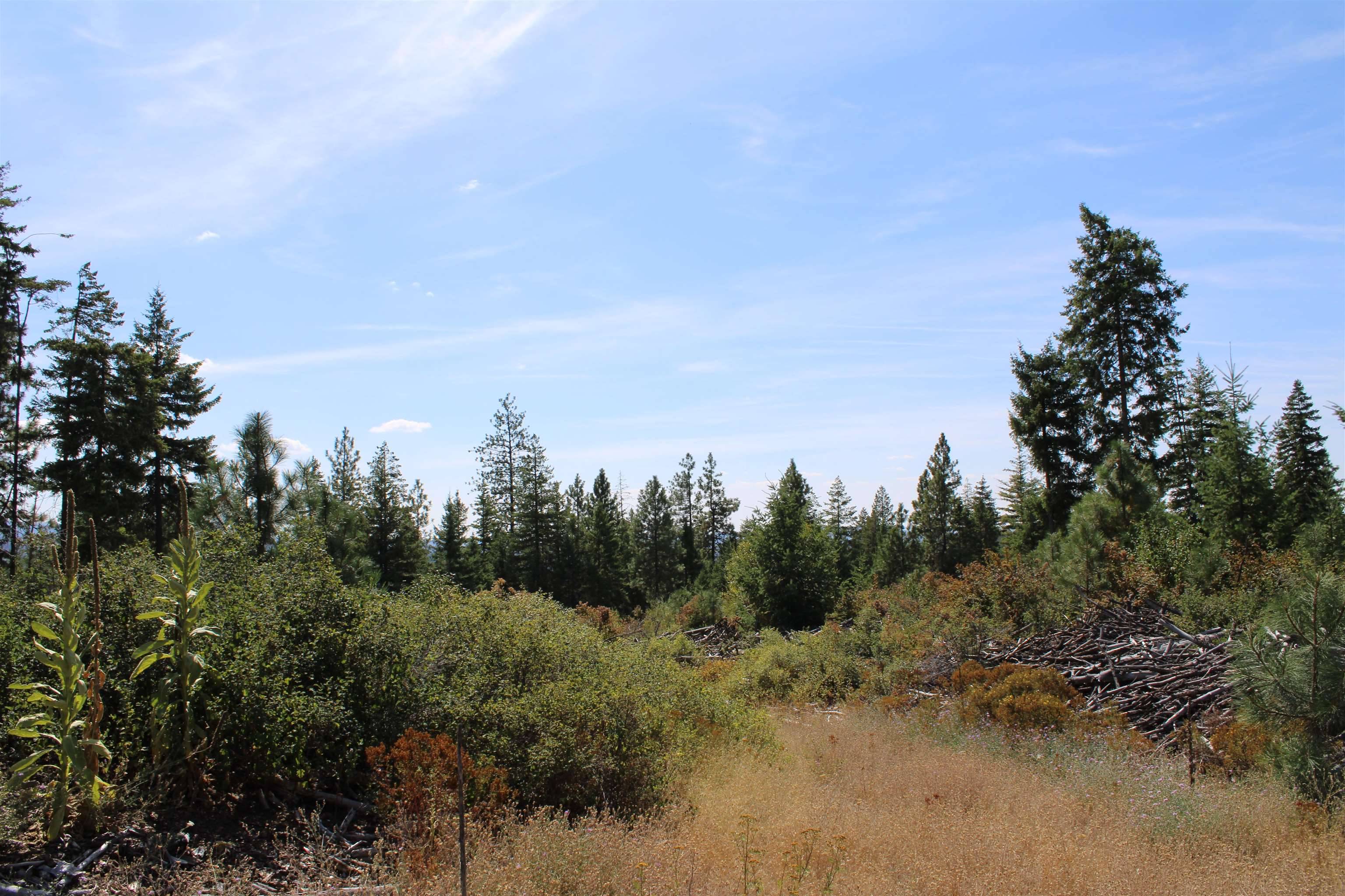 xxx Ellery Ranch Rd, Elk, WA 99009