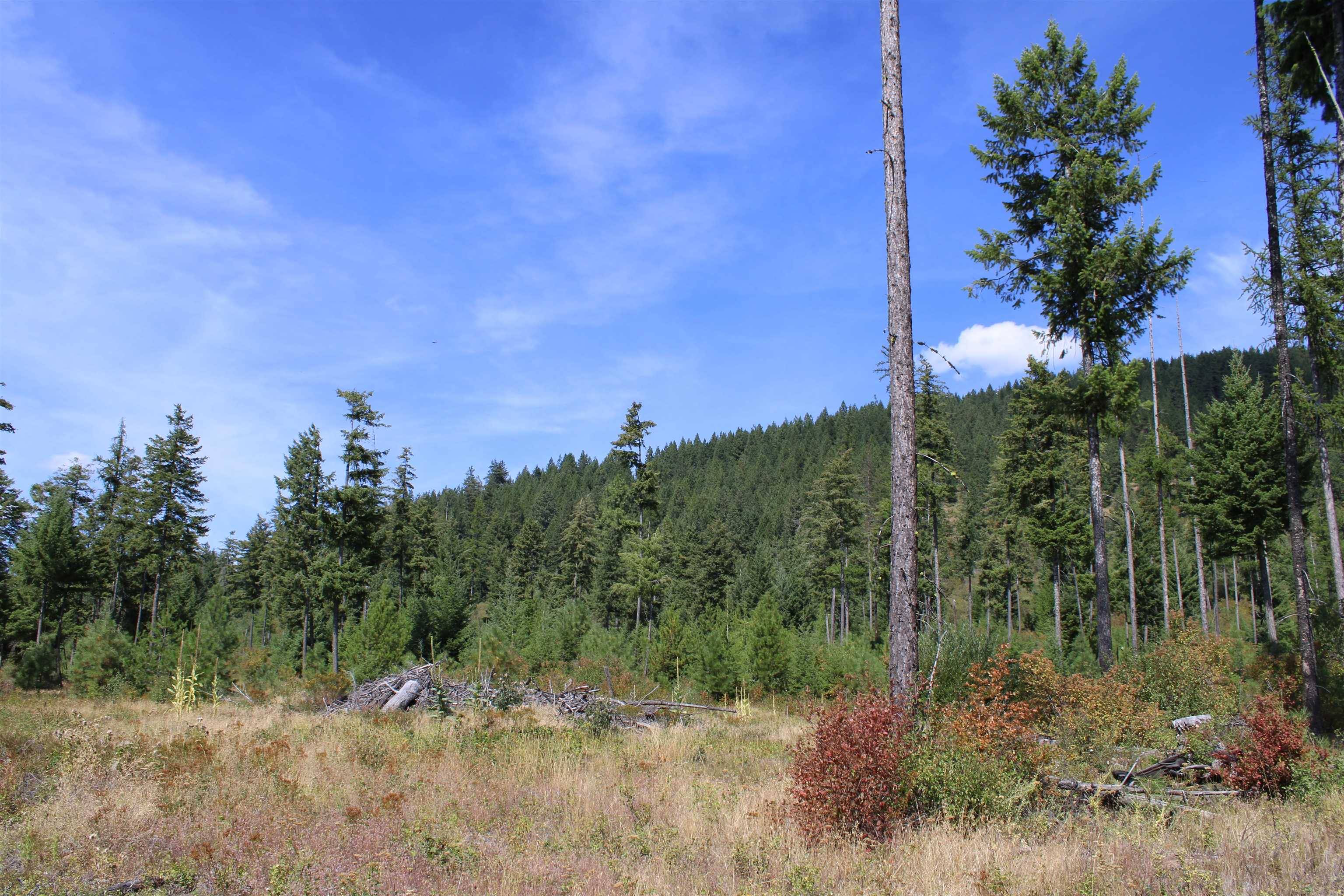 xxx Ellery Ranch Rd, Elk, WA 99009