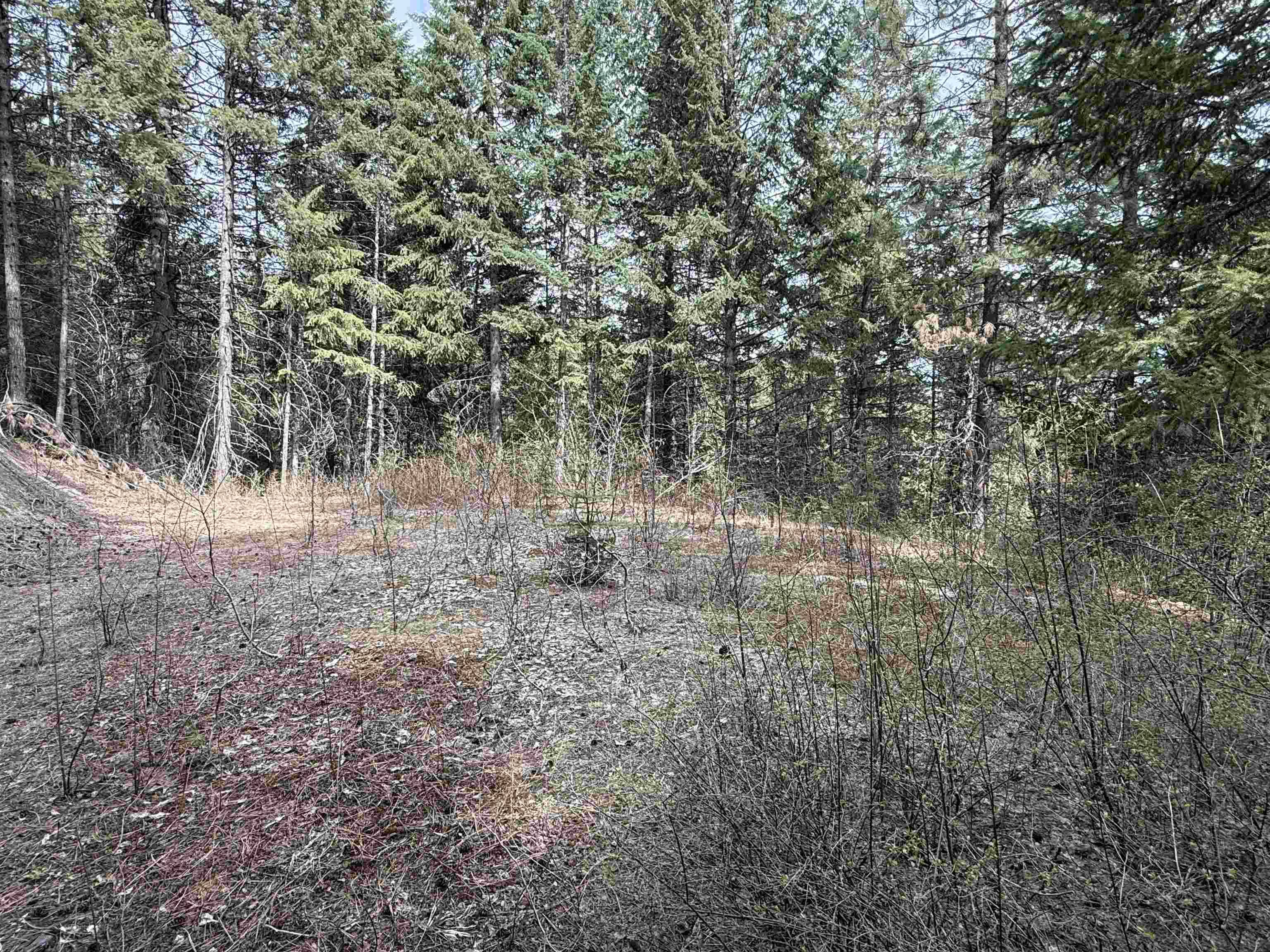 NNA Buck Creek Rd, Loon Lake, WA 99148