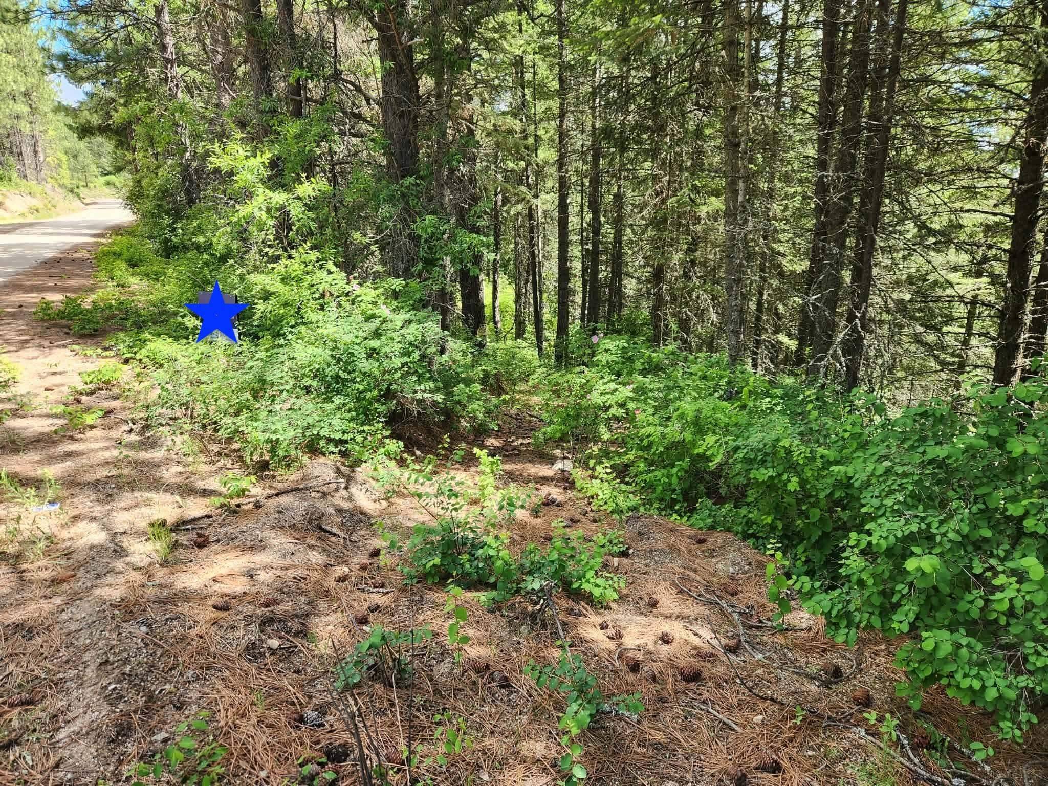 NNA Buck Creek Rd, Loon Lake, WA 99148