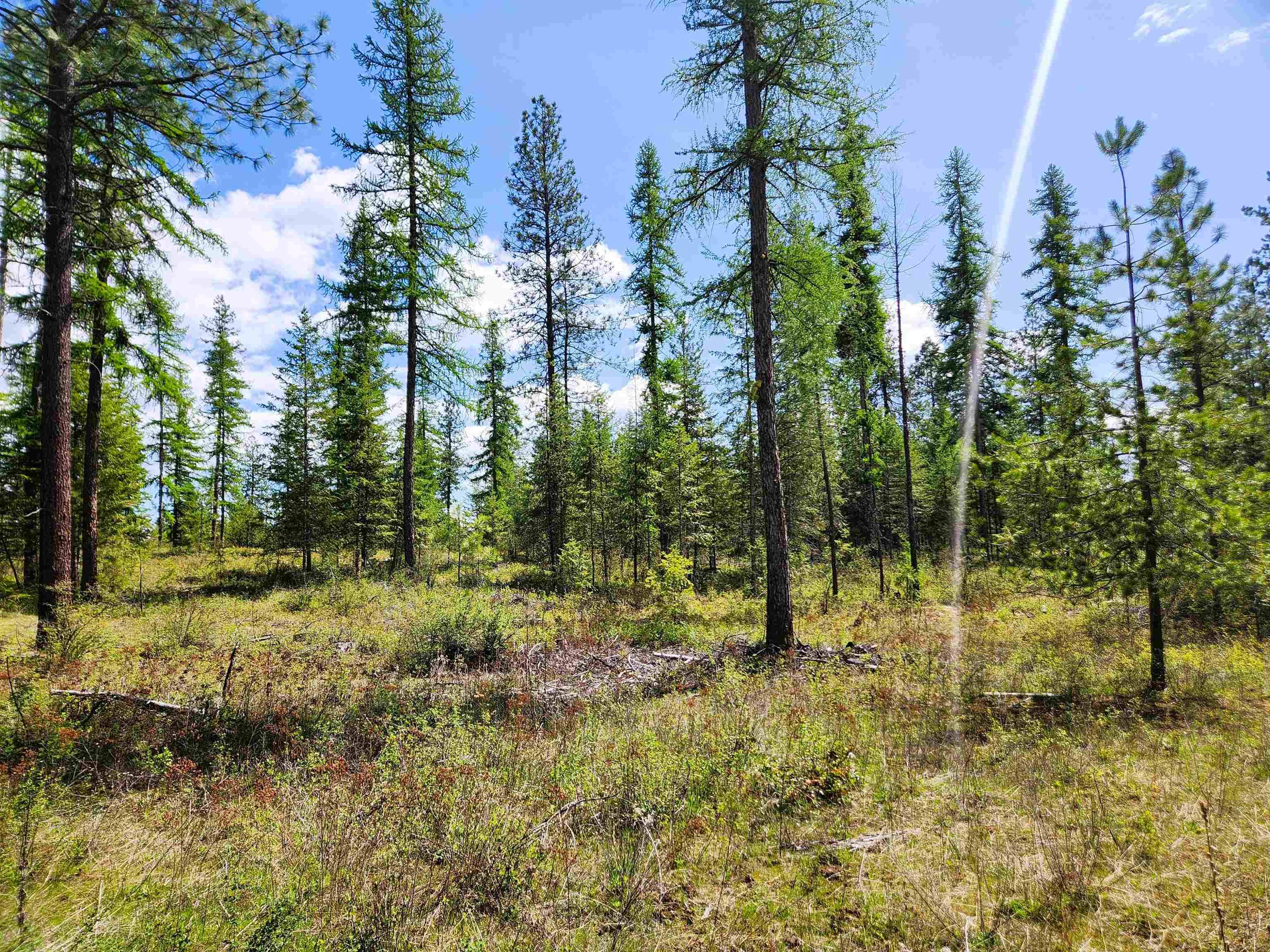 3669 E Jump Off Joe Rd, Valley, WA 99181