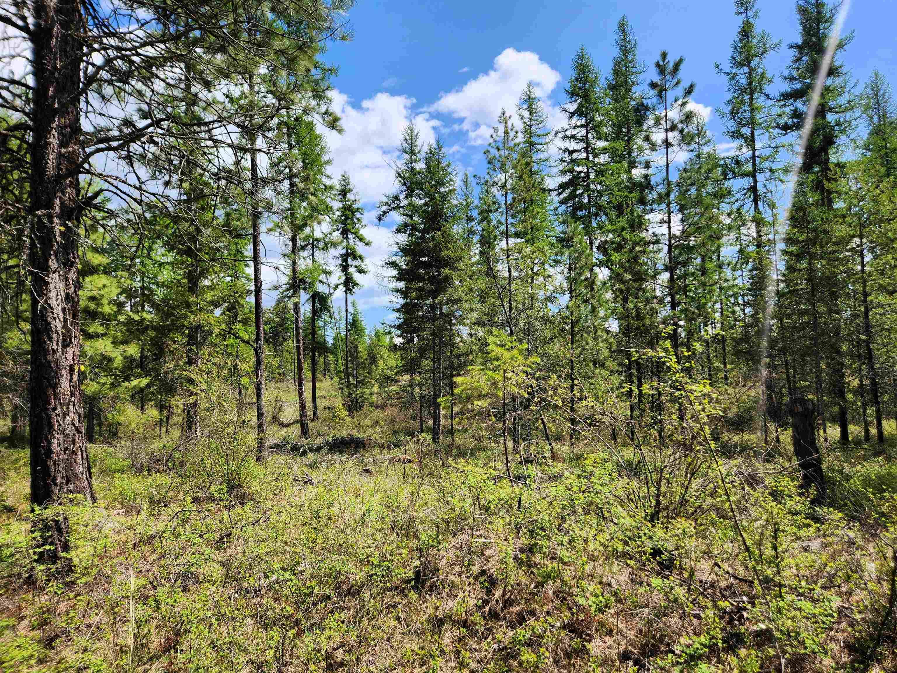 3669 E Jump Off Joe Rd, Valley, WA 99181
