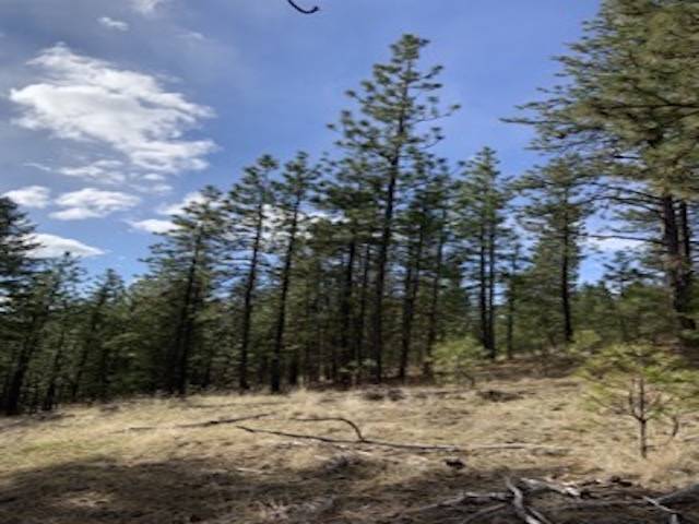 31755 E Gambel Ln, Davenport, WA 99122