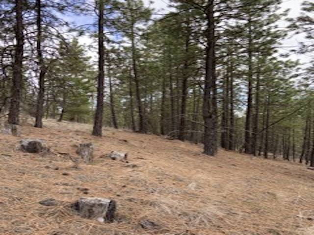31755 E Gambel Ln, Davenport, WA 99122