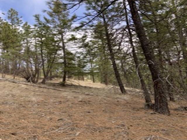 31755 E Gambel Ln, Davenport, WA 99122