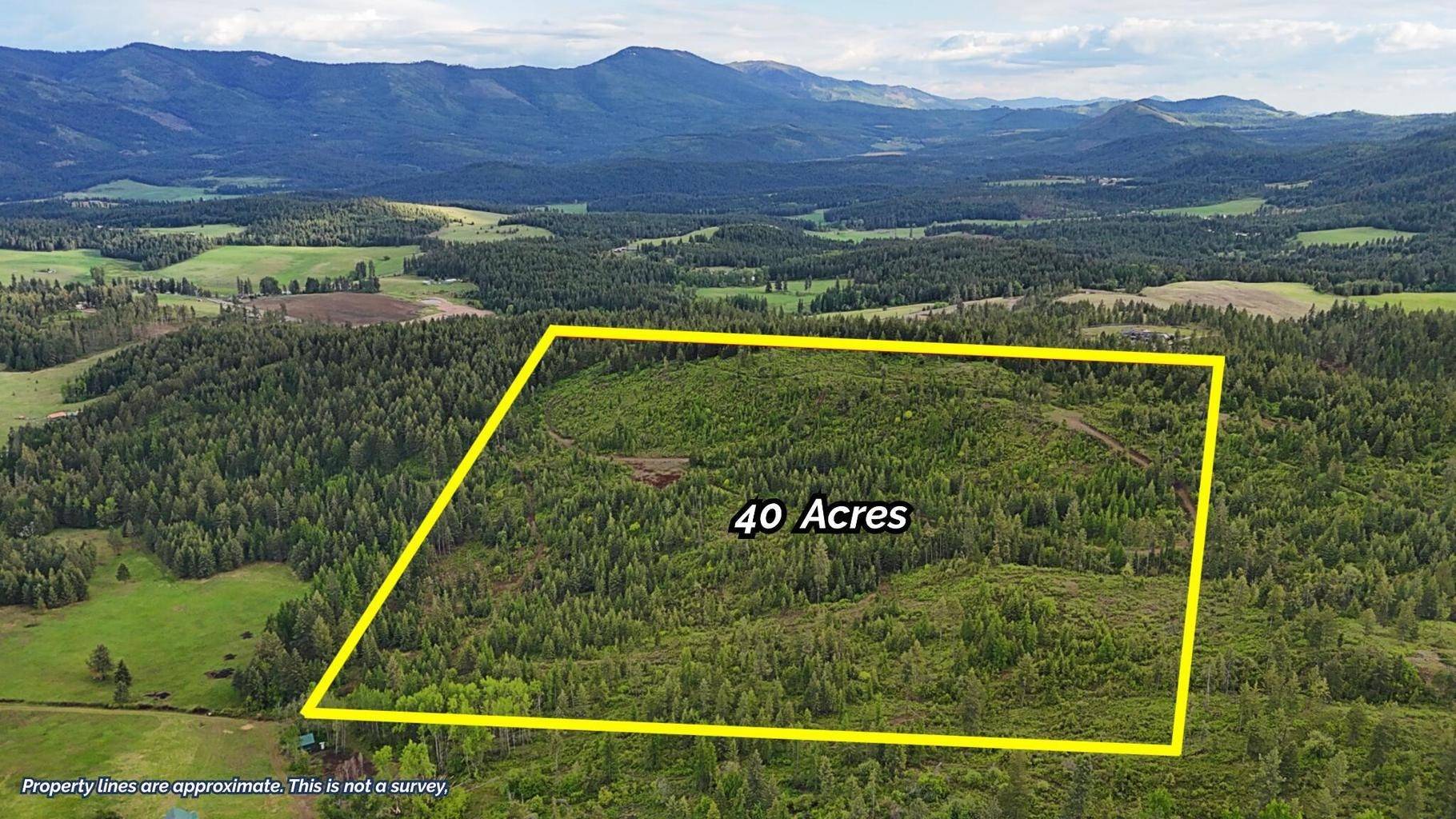 25XX Burgess Rd, Addy, WA 99101-0000