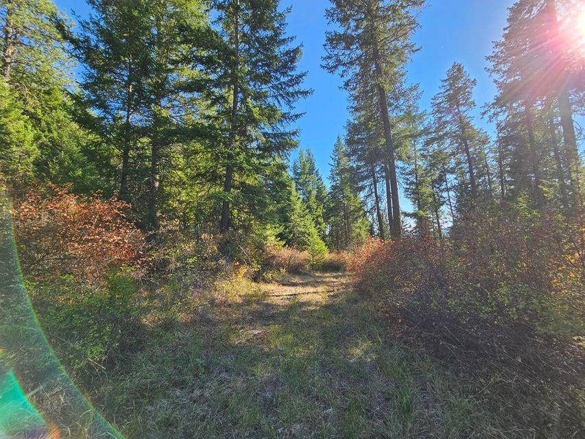 25XX Burgess Rd, Addy, WA 99101-0000
