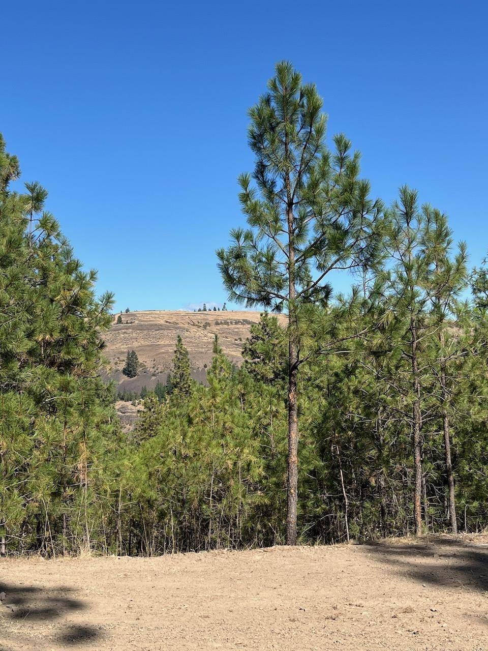 Lot 3 Top Notch Bob White Ln, Davenport, WA 99122