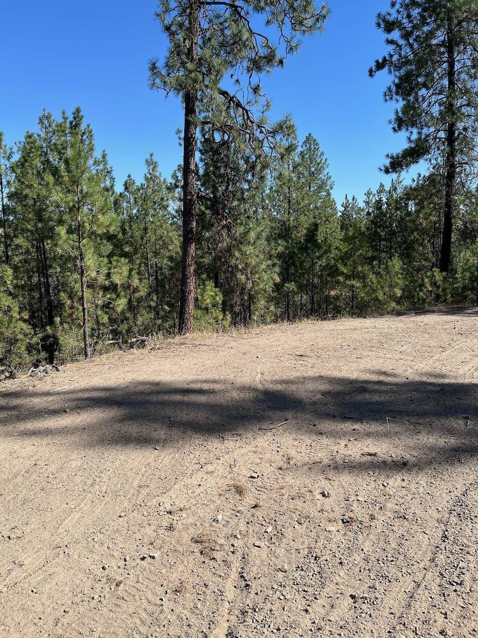 Lot 3 Top Notch Bob White Ln, Davenport, WA 99122