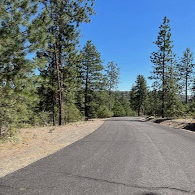 Lot 3 Top Notch Bob White Ln, Davenport, WA 99122