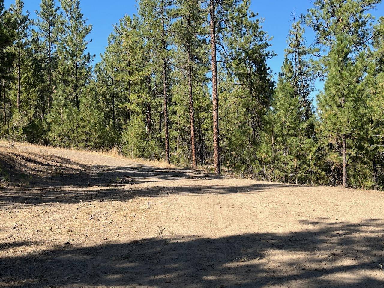 Lot 3 Top Notch Bob White Ln, Davenport, WA 99122