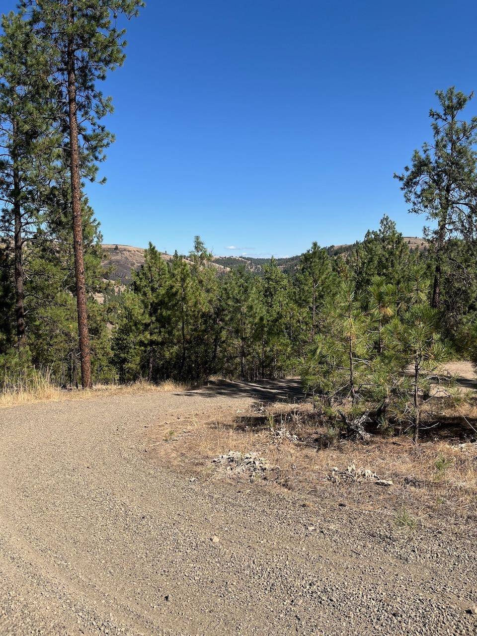 Lot 3 Top Notch Bob White Ln, Davenport, WA 99122