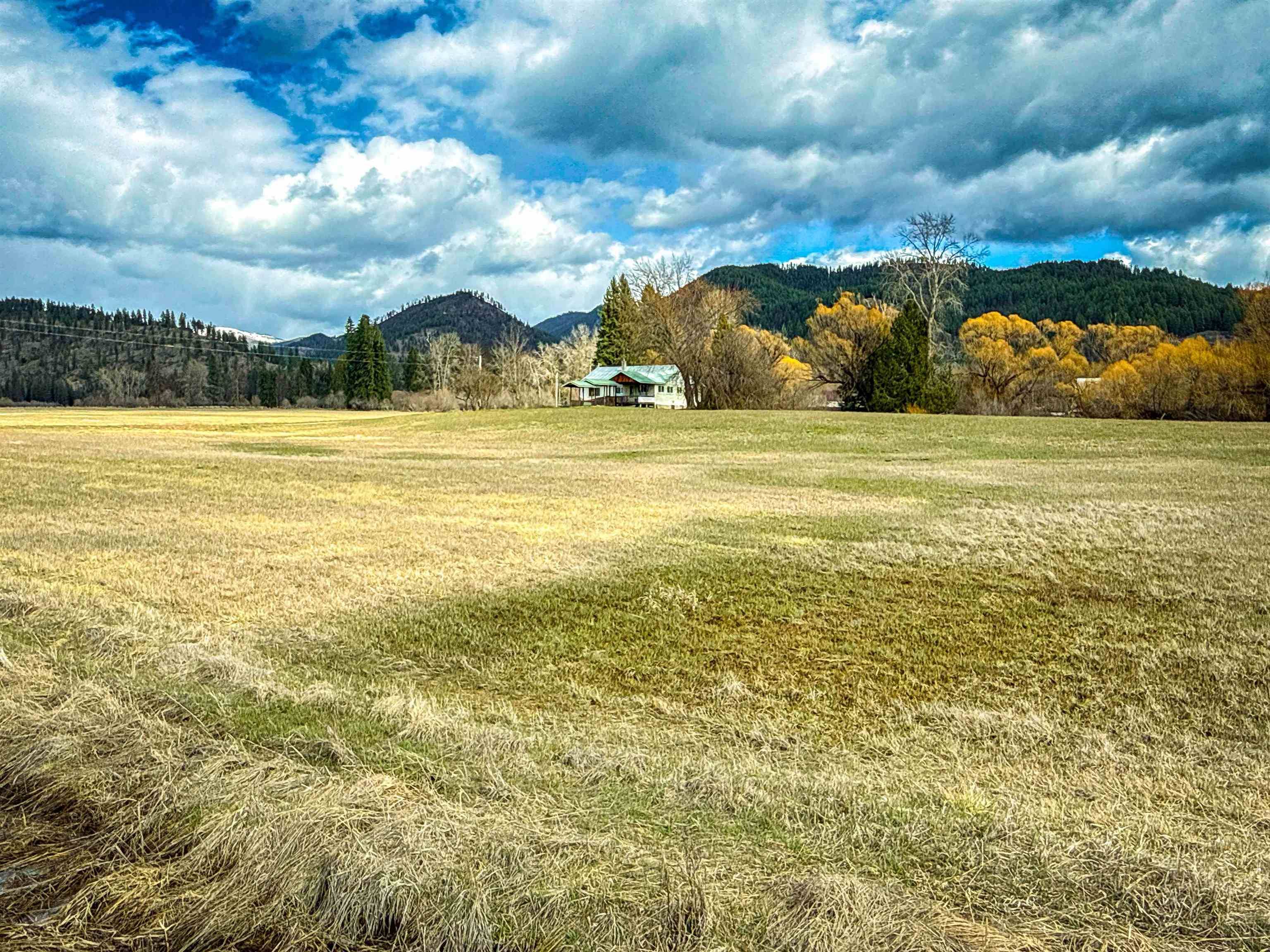 901 Skookum Creek Rd, Usk, WA 99180