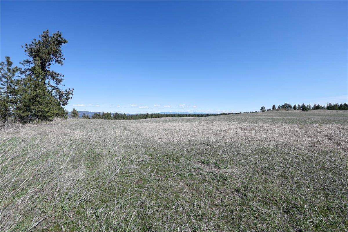 TBD N Hayford Rd, Spokane, WA 99224