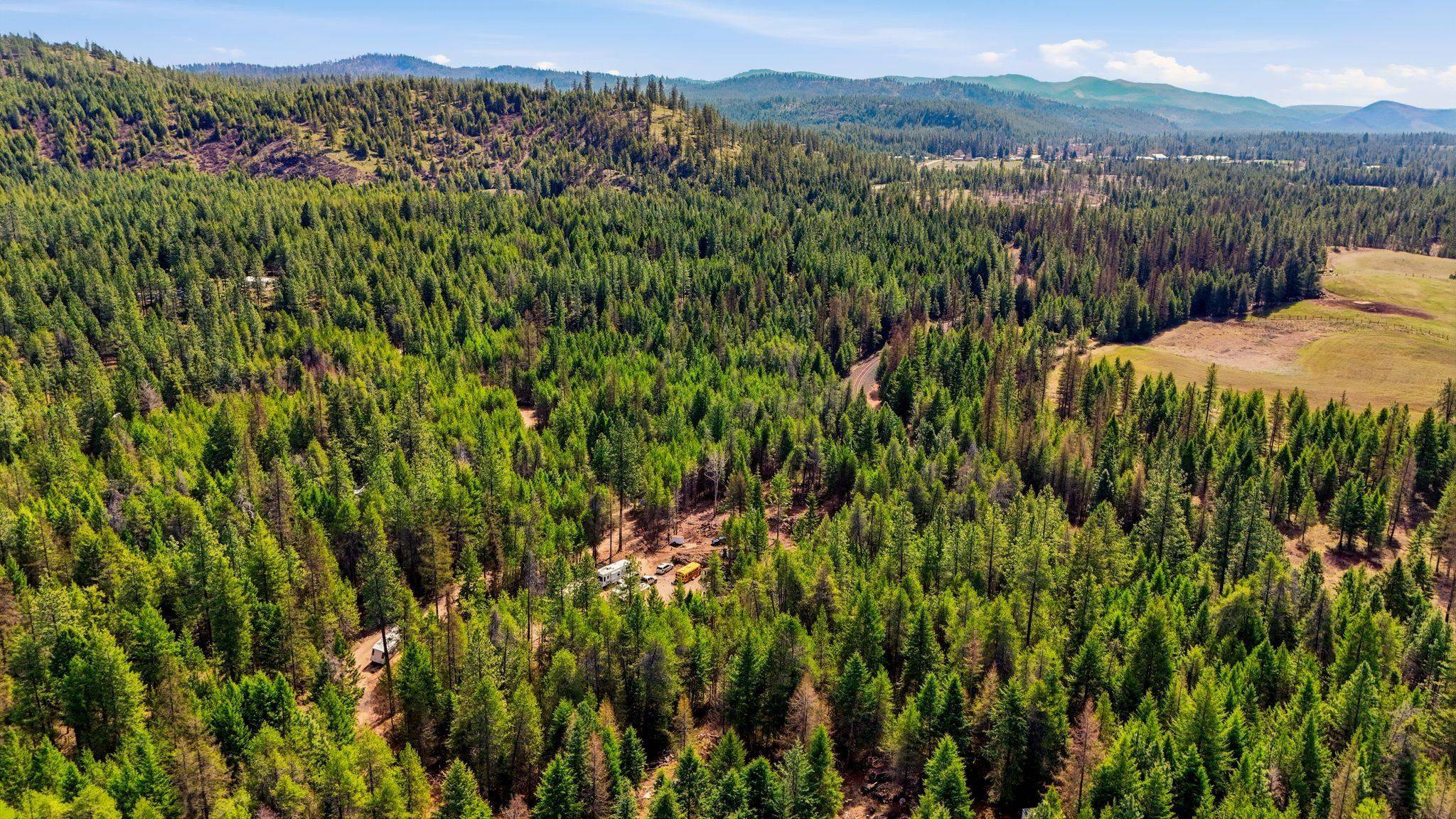 4151 H Jepsen Rd, Springdale, WA 99173