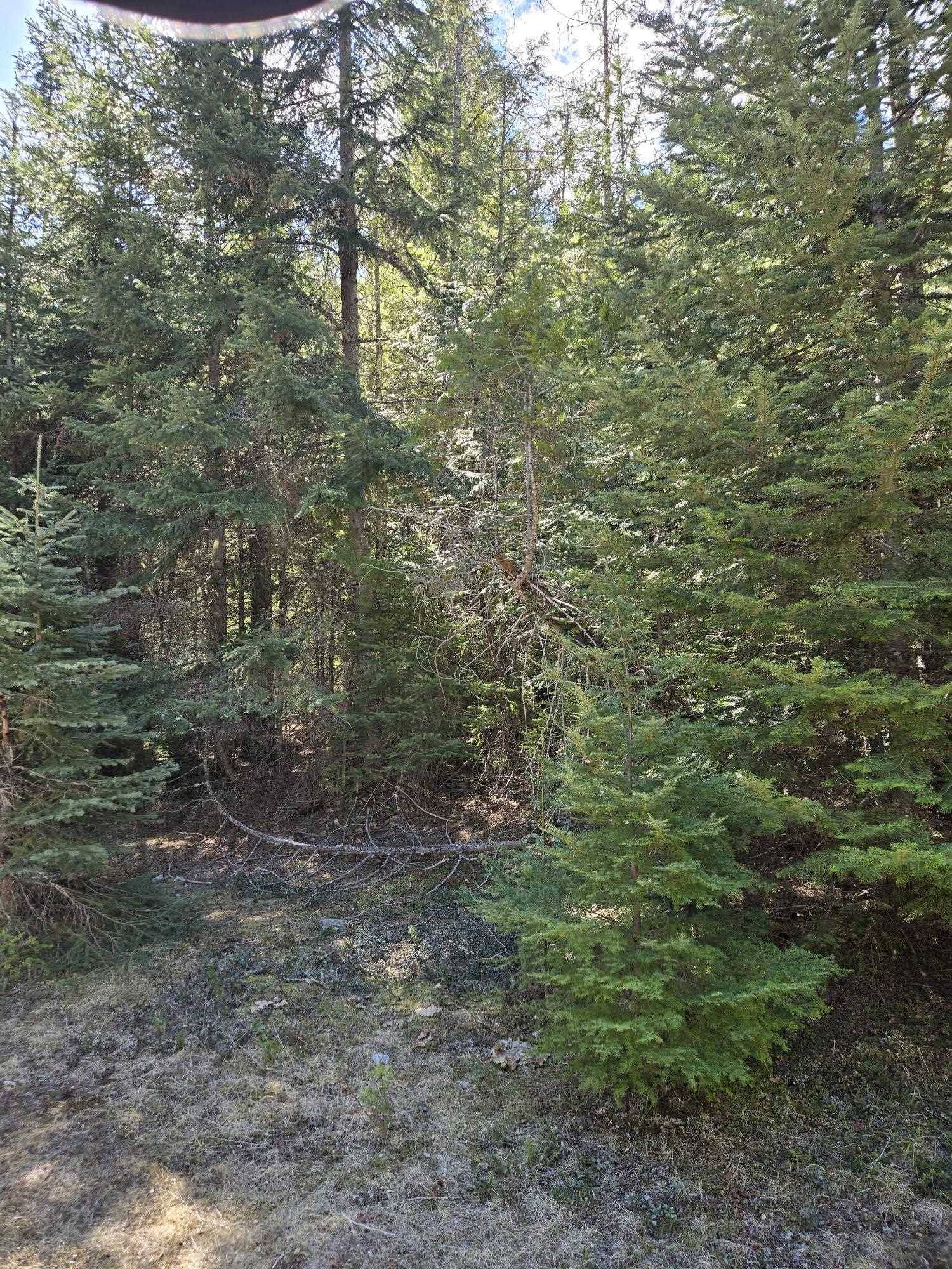 192 Meadowlark Ln, Cusick, WA 99119