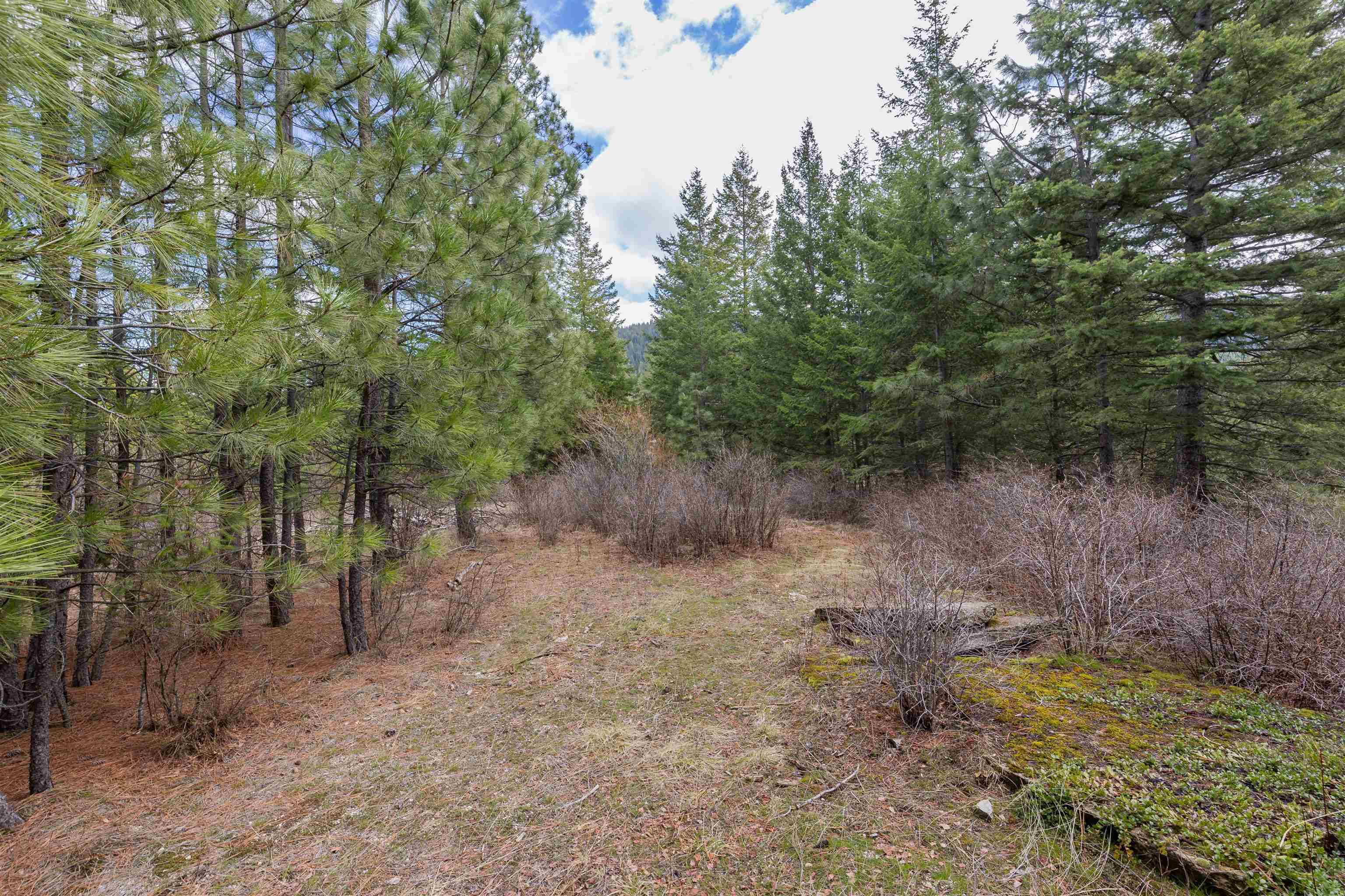 31xxx N South Jackson Rd, Elk, WA 99009