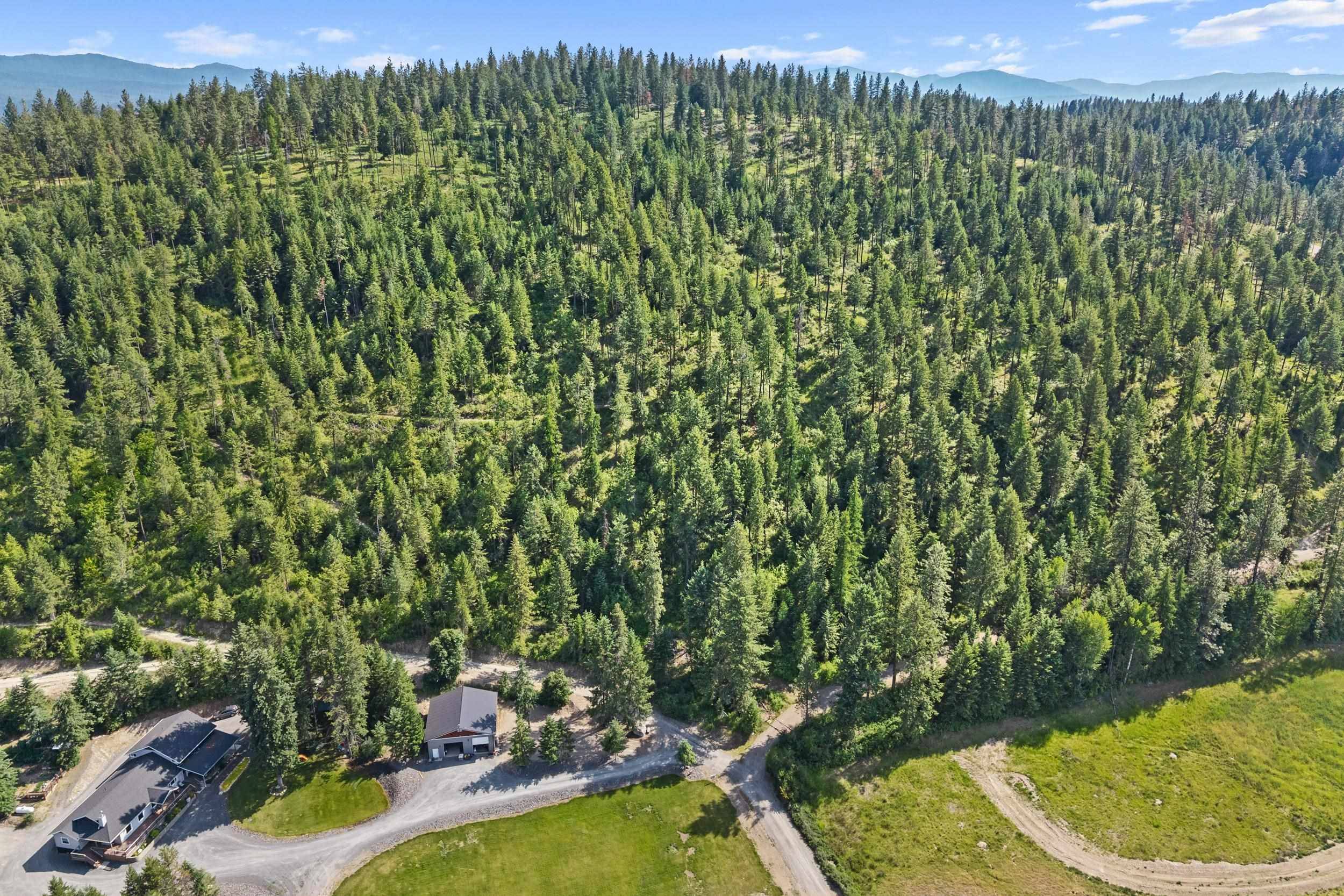 585 White Meadow WAY, Colville, WA 99114