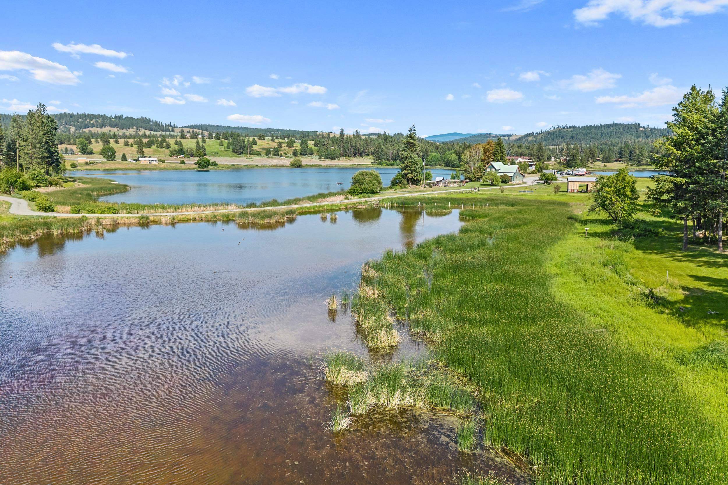 585 White Meadow WAY, Colville, WA 99114