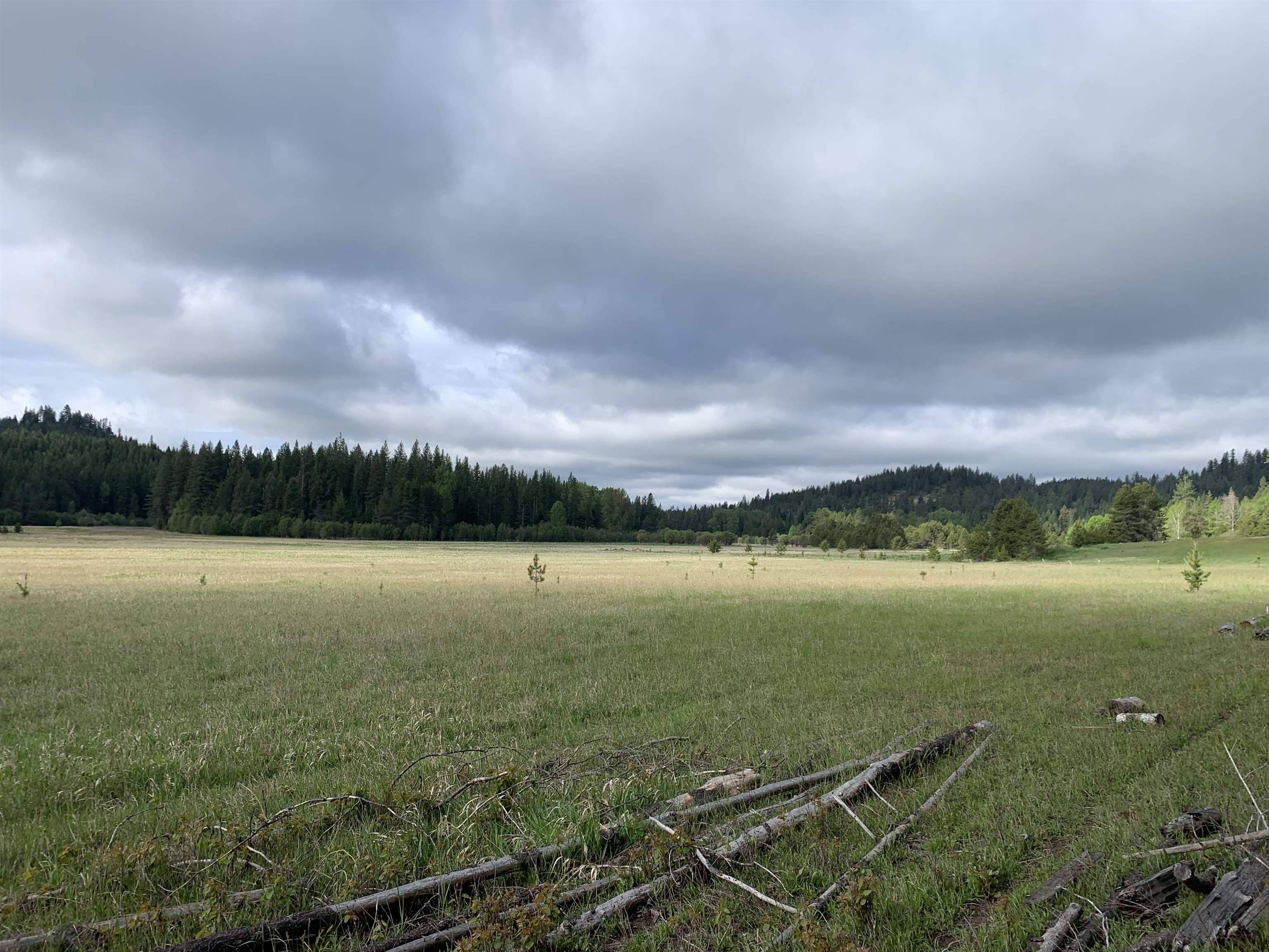 3xx Beaver Valley Rd, Newport, WA 99154