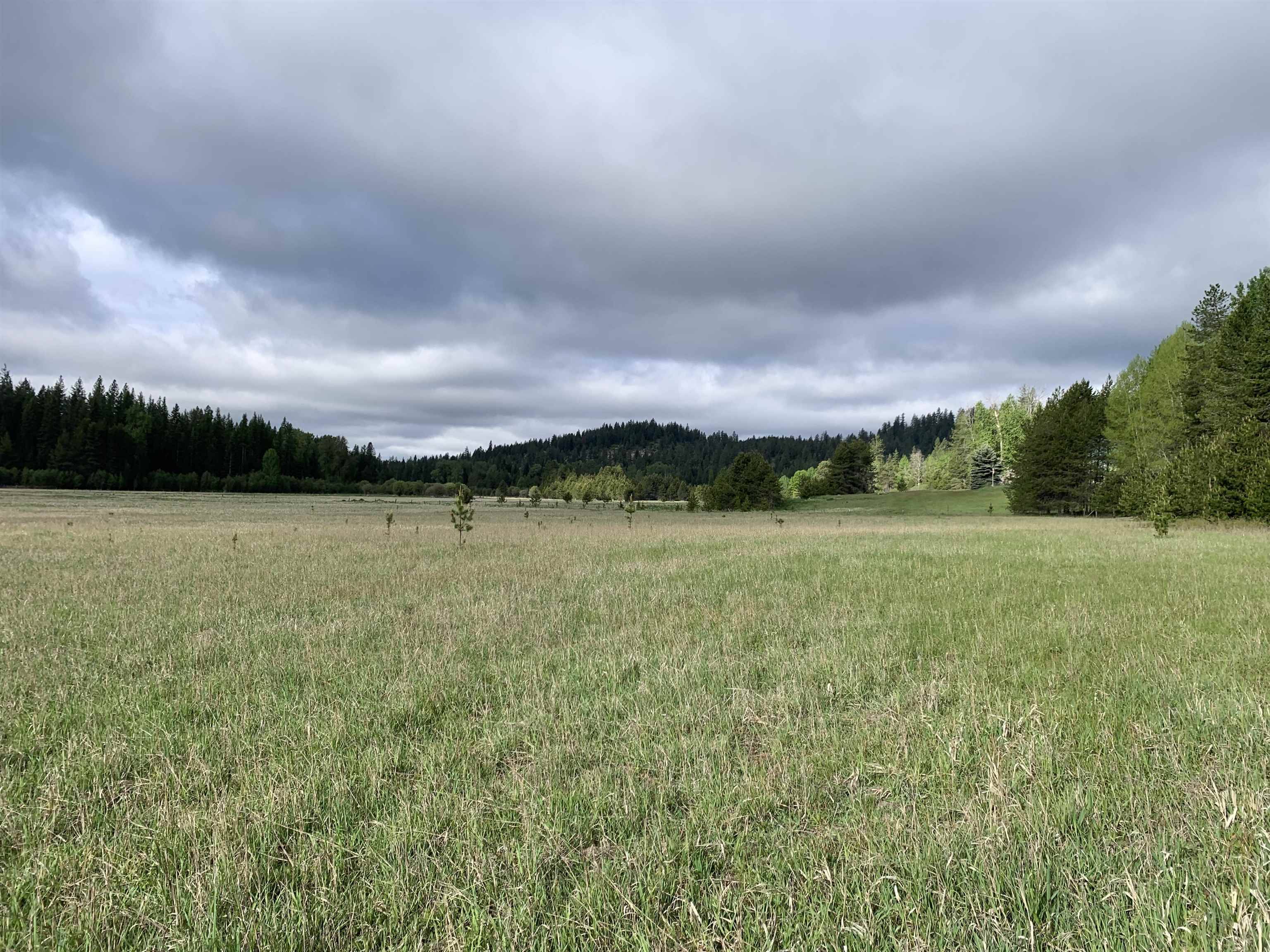 3xx Beaver Valley Rd, Newport, WA 99154