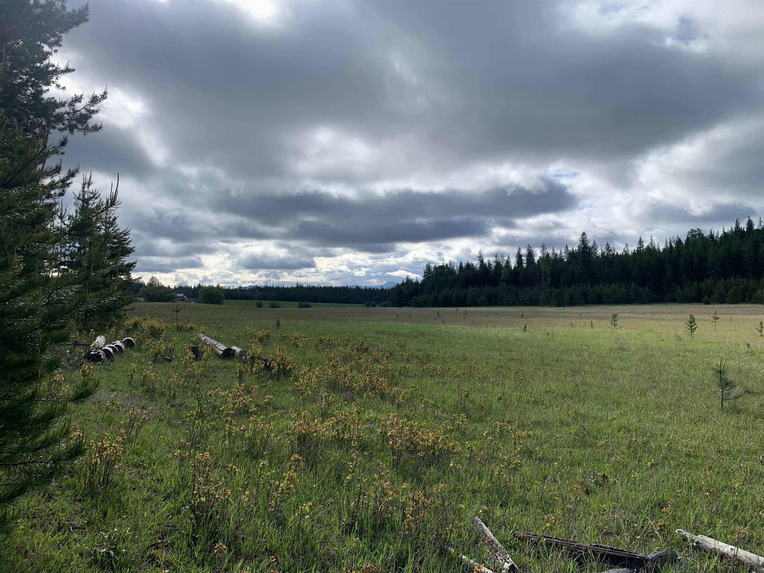 3xx Beaver Valley Rd, Newport, WA 99154