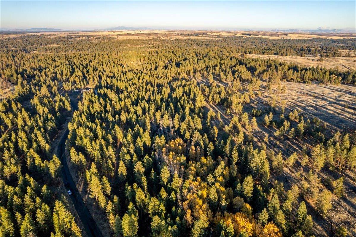 TBD Lorna Ln #Lot I, Cheney, WA 99002
