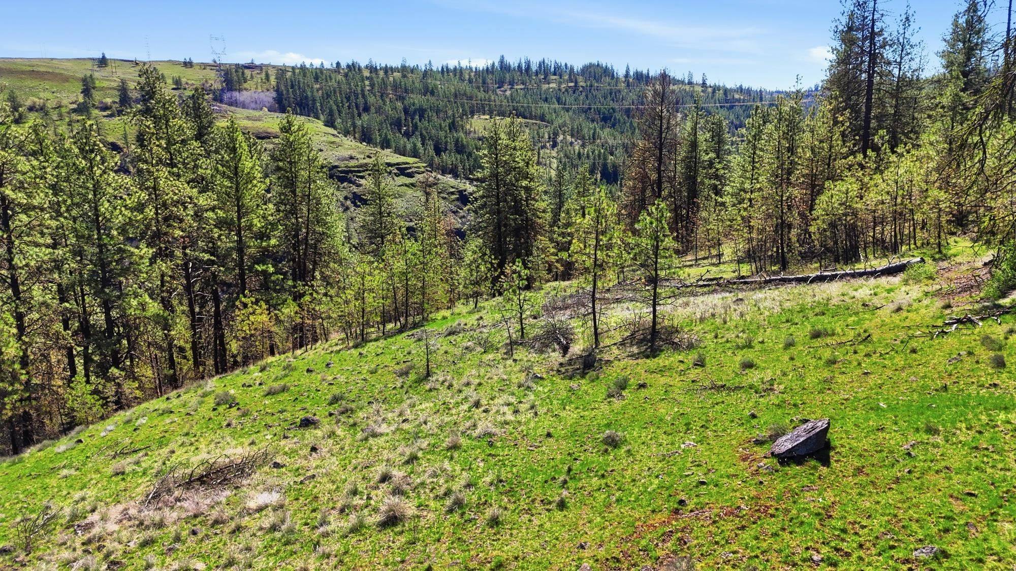 NKA- Hawk Creek Ranches, Davenport, WA 99122