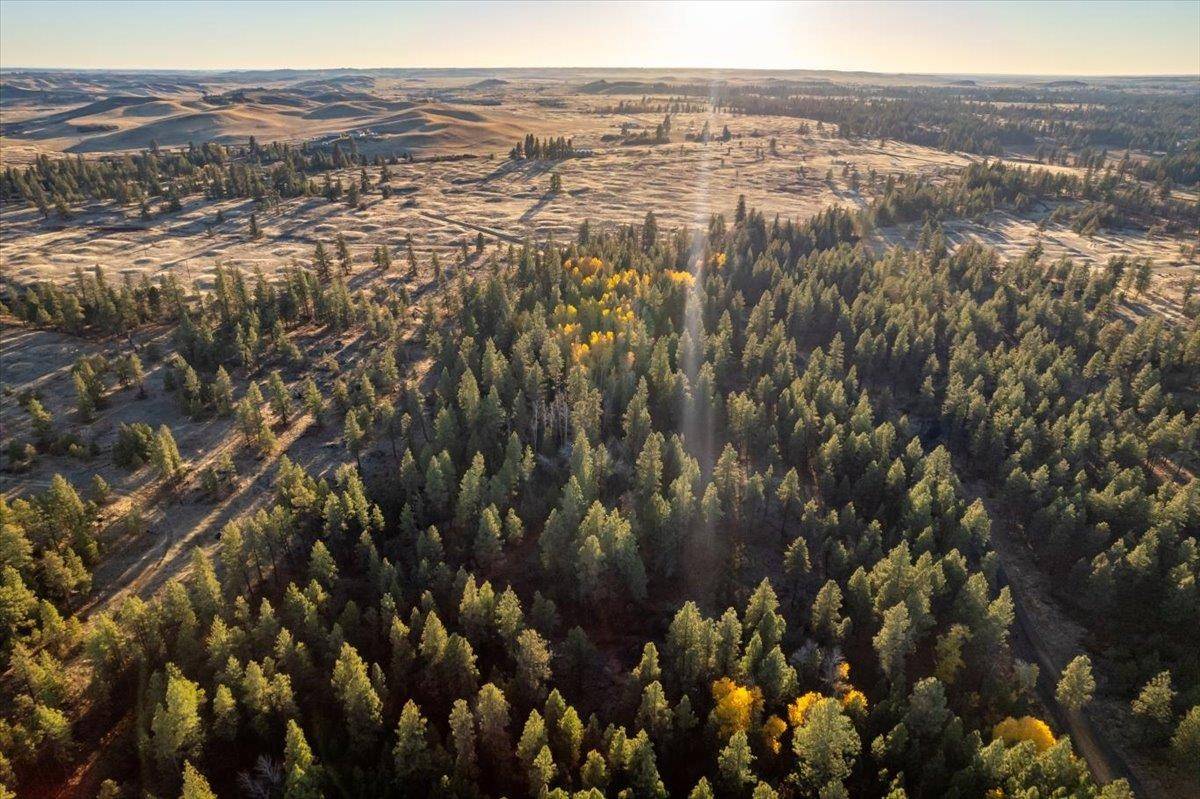 TBD Lorna Ln #Lot J, Cheney, WA 99002