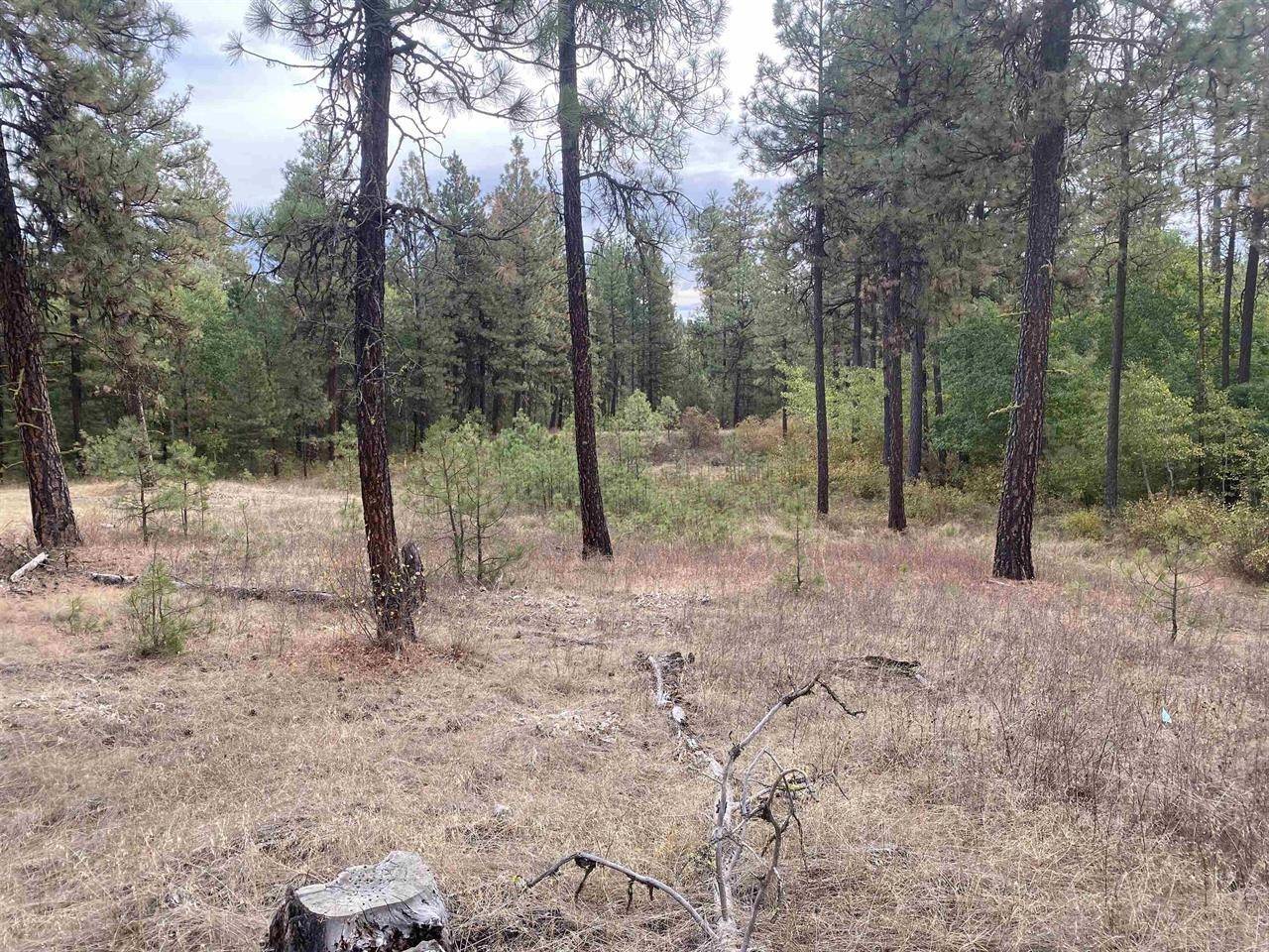 TBD Lorna Ln #Lots I & J, Cheney, WA 99002