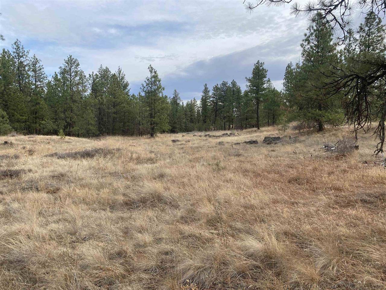 TBD Lorna Ln #Lots I & J, Cheney, WA 99002