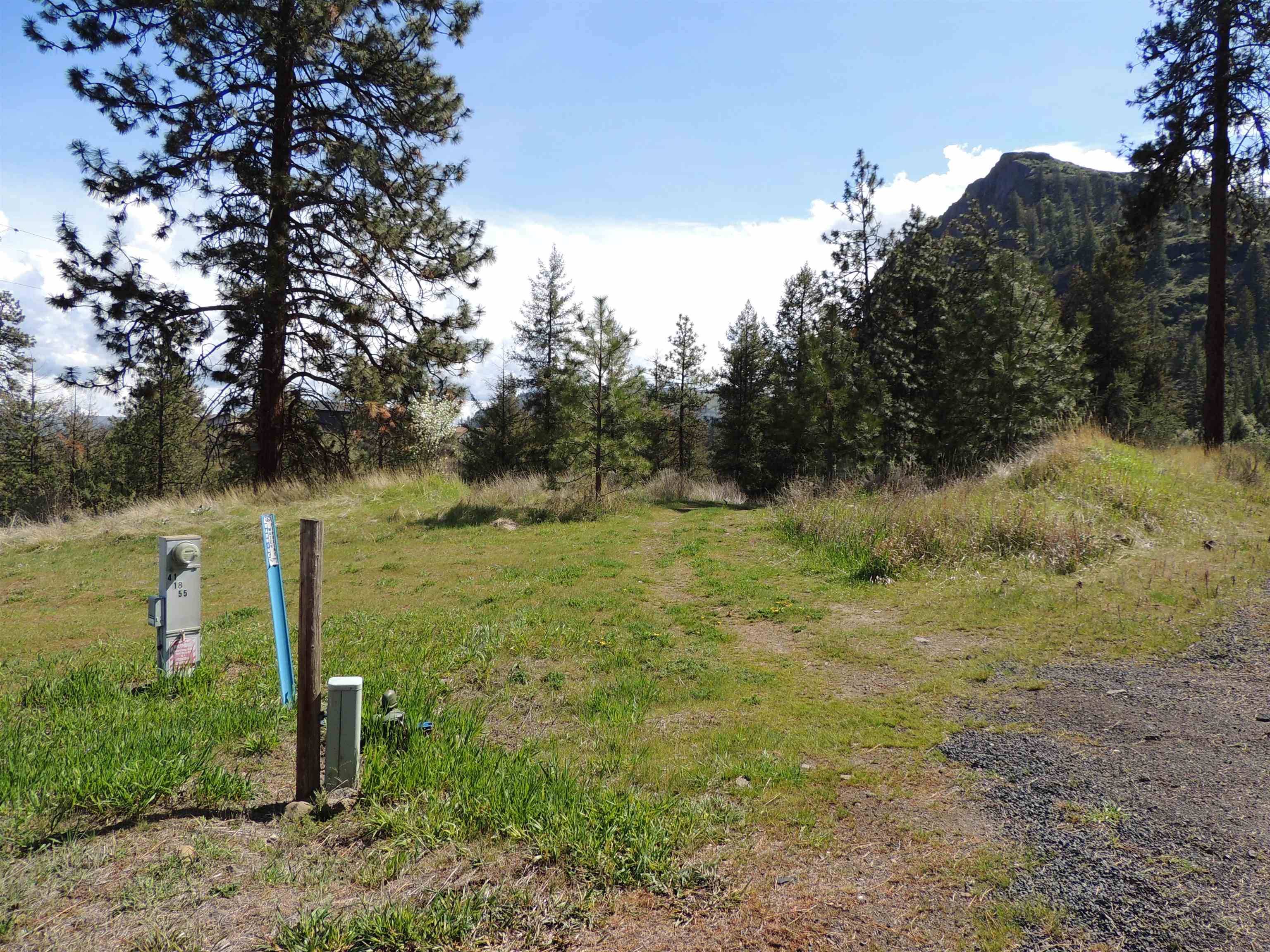 39395 Bluff Overlook Pt. N, Lincoln, WA 99147