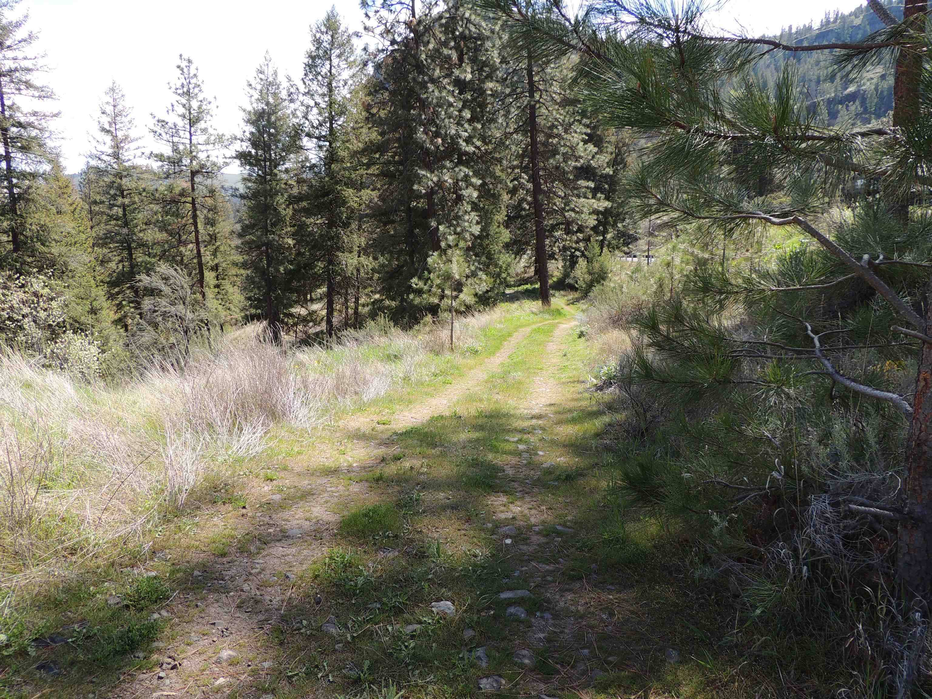39395 Bluff Overlook Pt. N, Lincoln, WA 99147
