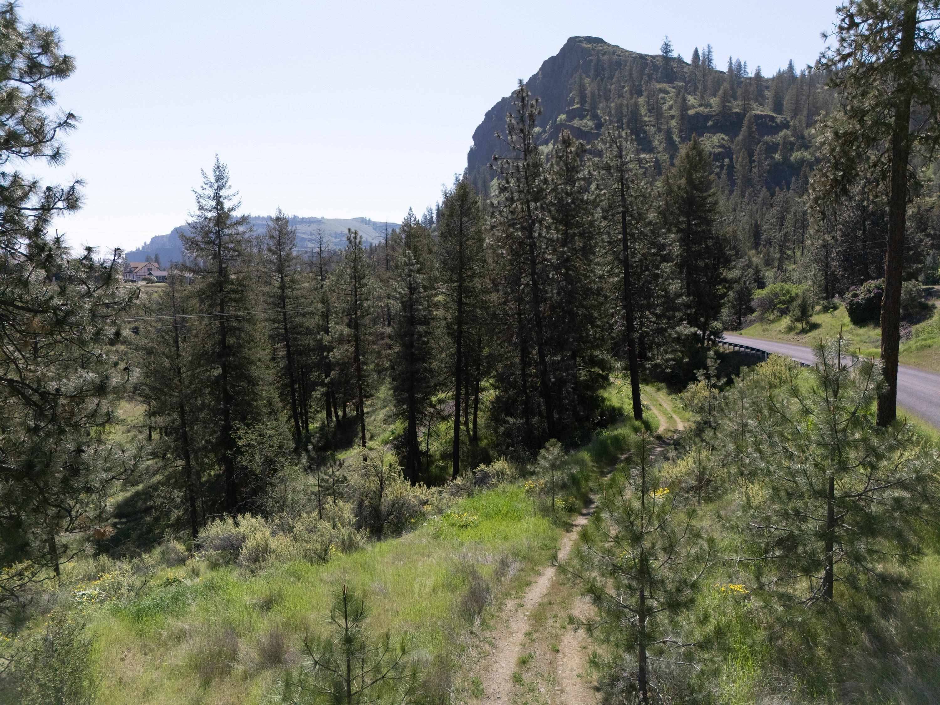 39395 Bluff Overlook Pt. N, Lincoln, WA 99147
