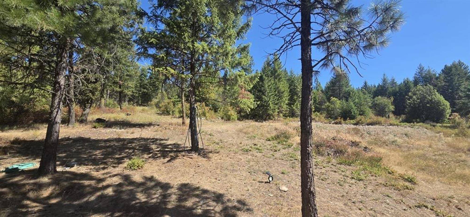 1080 G Middle Basin Rd, Colville, WA 99114