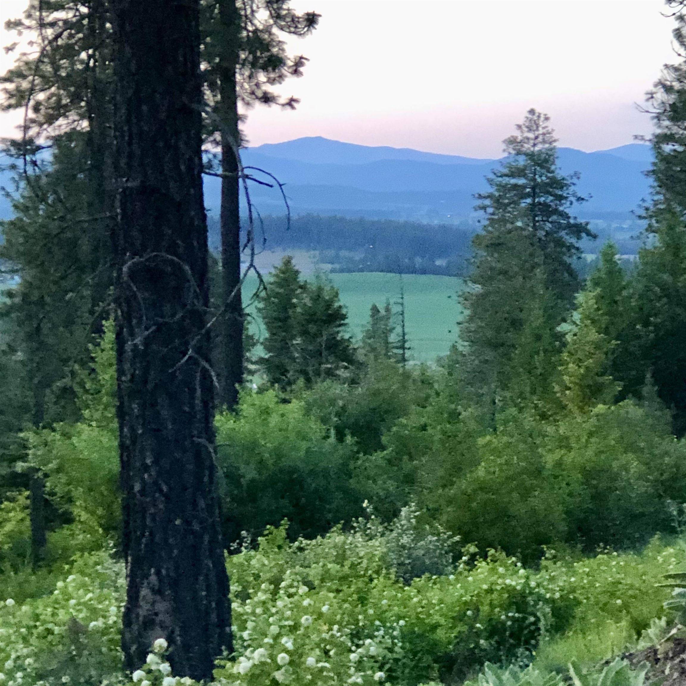 S Swenson Rd, Deer Park, WA 99006