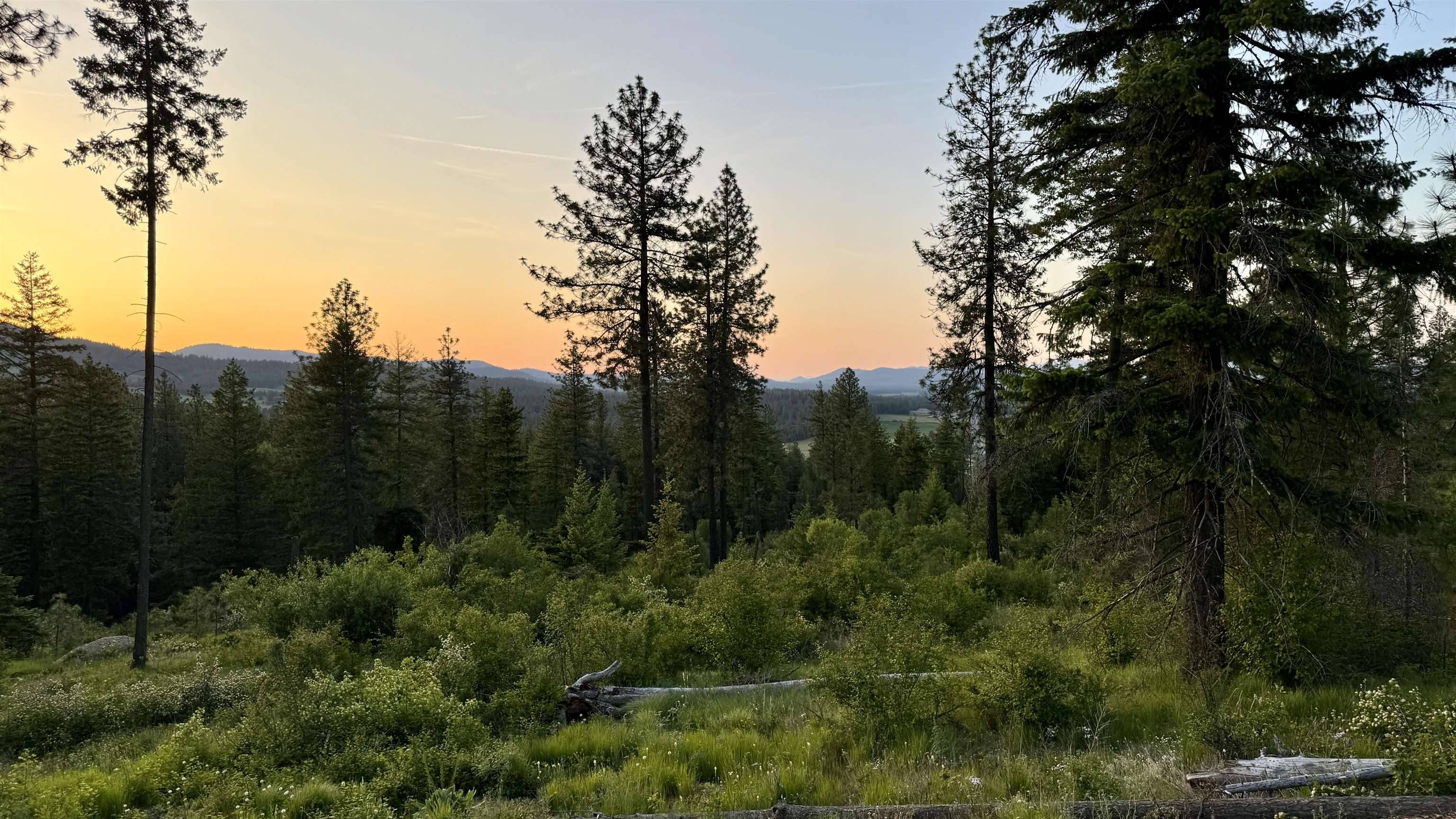 S Swenson Rd, Deer Park, WA 99006