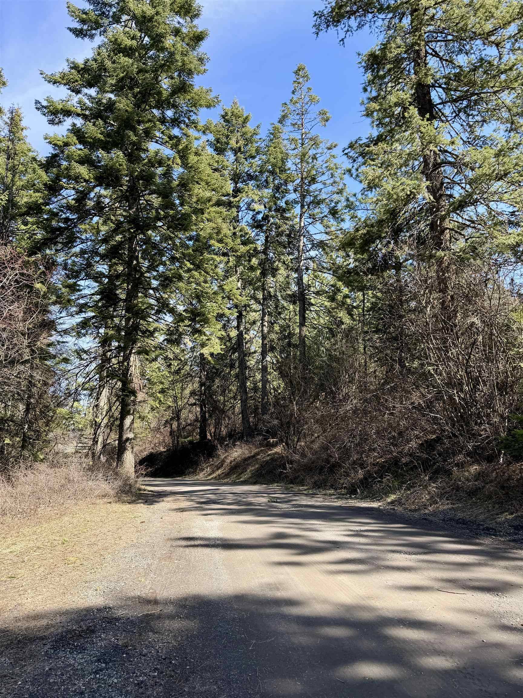 114XX N Judkins Ln, Spokane, WA 99217