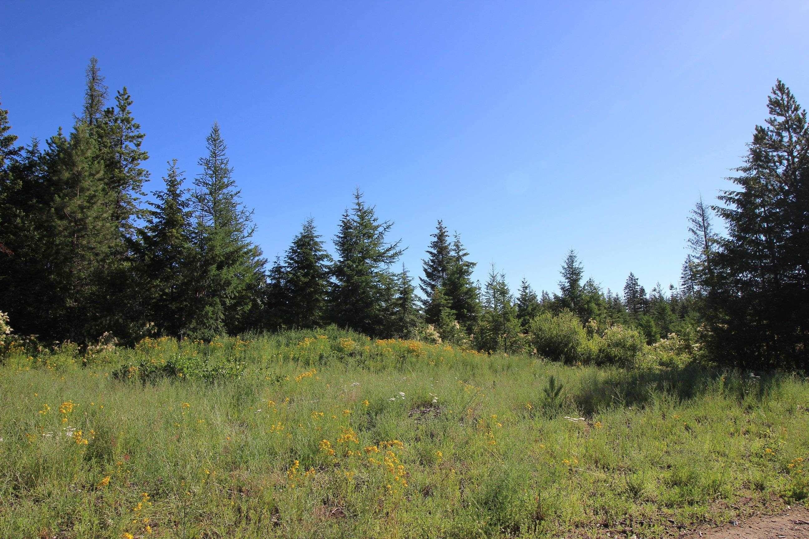 XXX Buck Creek Rd, Newport, WA 99156