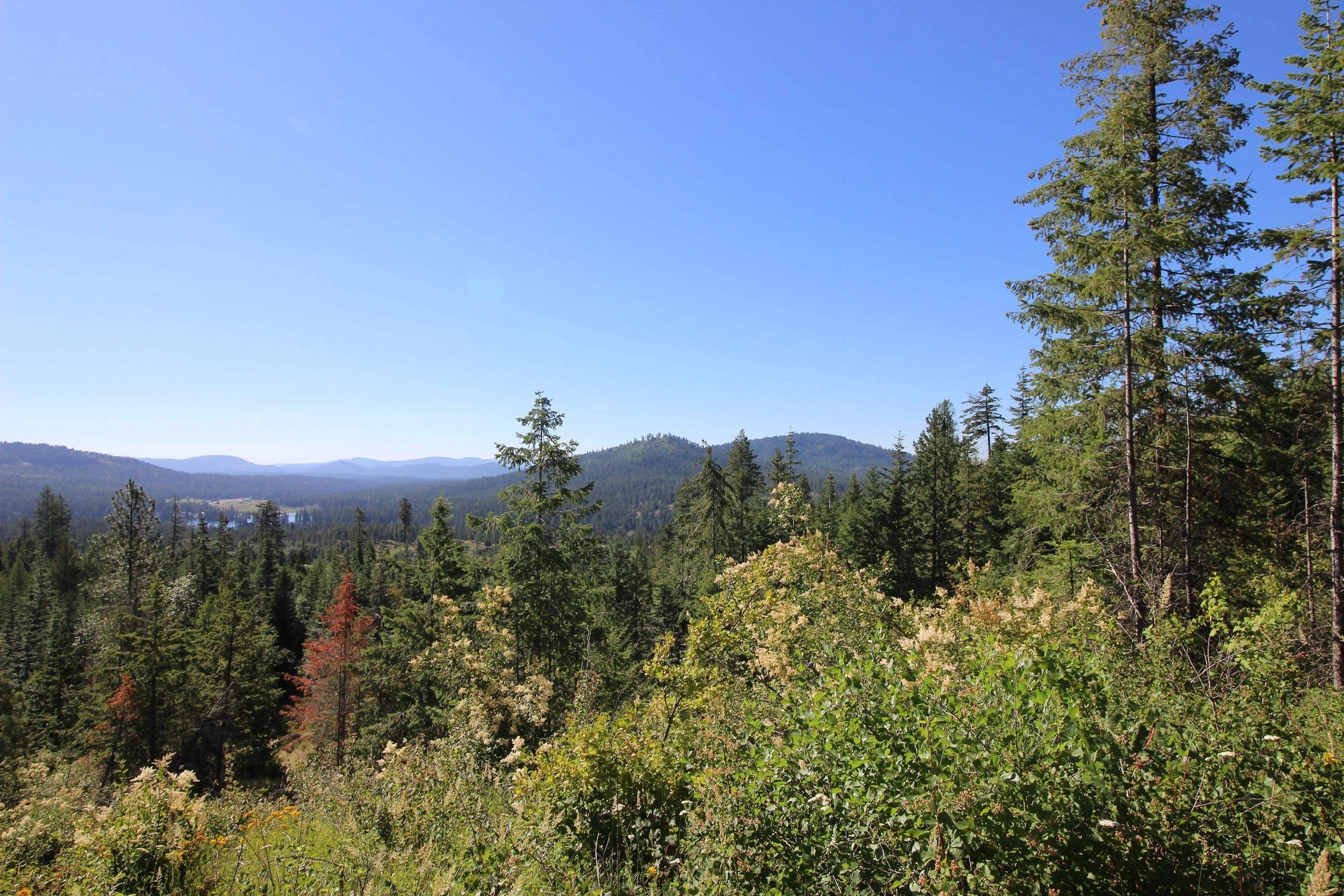 XXX Buck Creek Rd, Newport, WA 99156