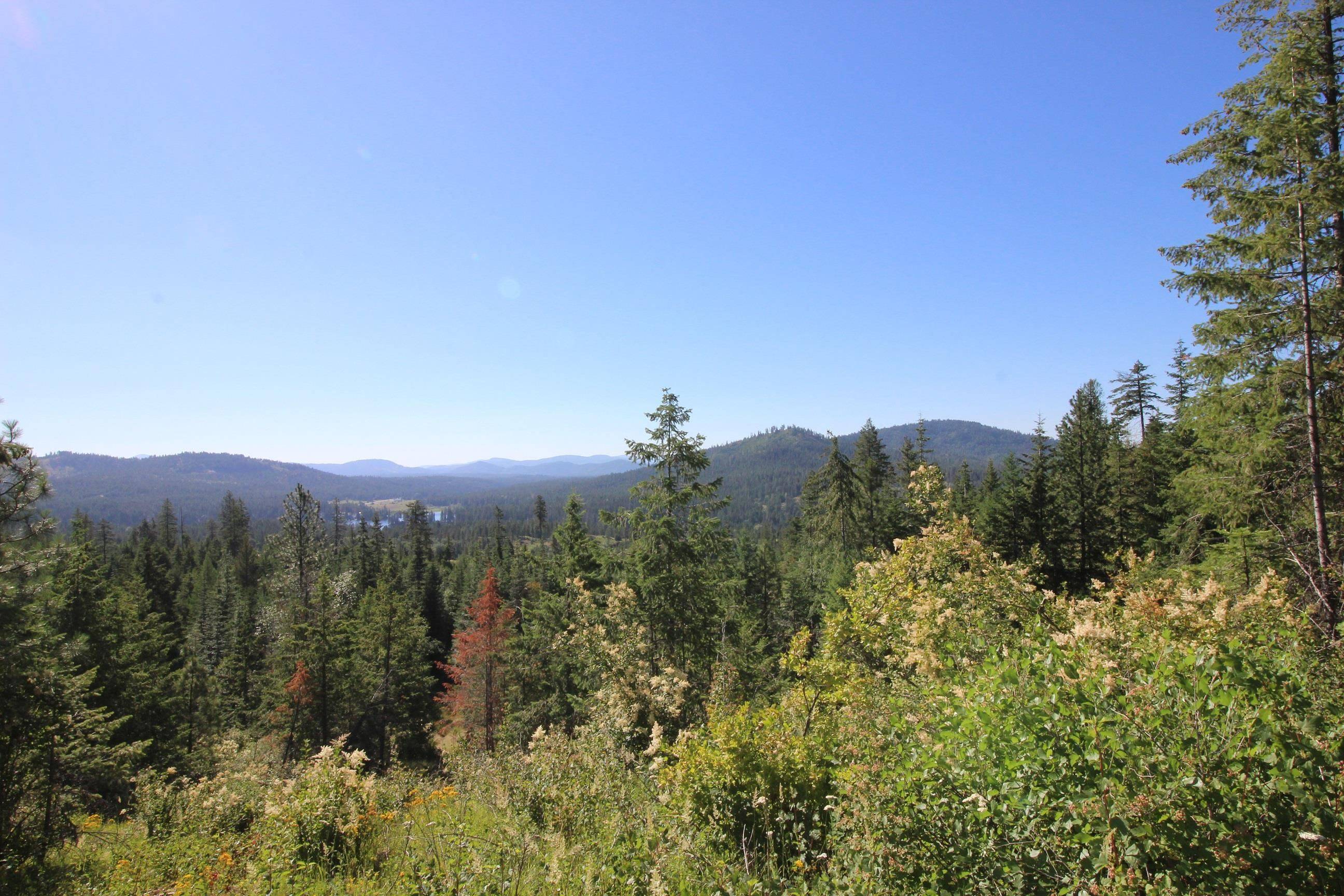 XXX Buck Creek Rd, Newport, WA 99156