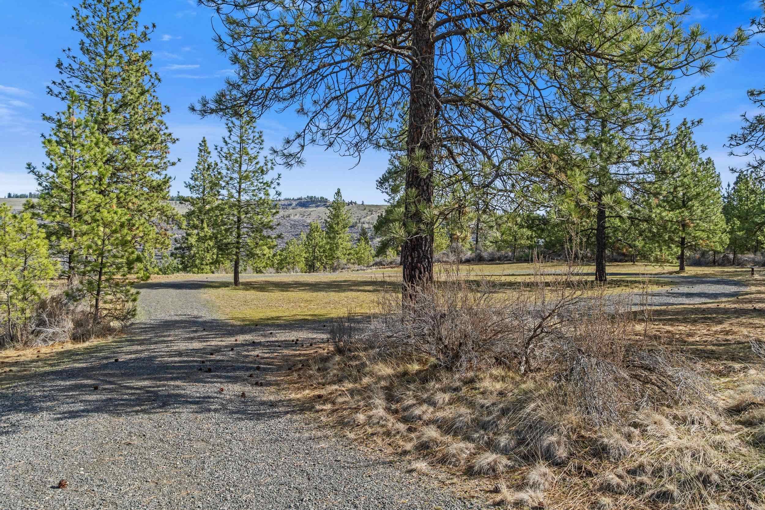 38800 E Sand Flats Dr, Davenport, WA 99122